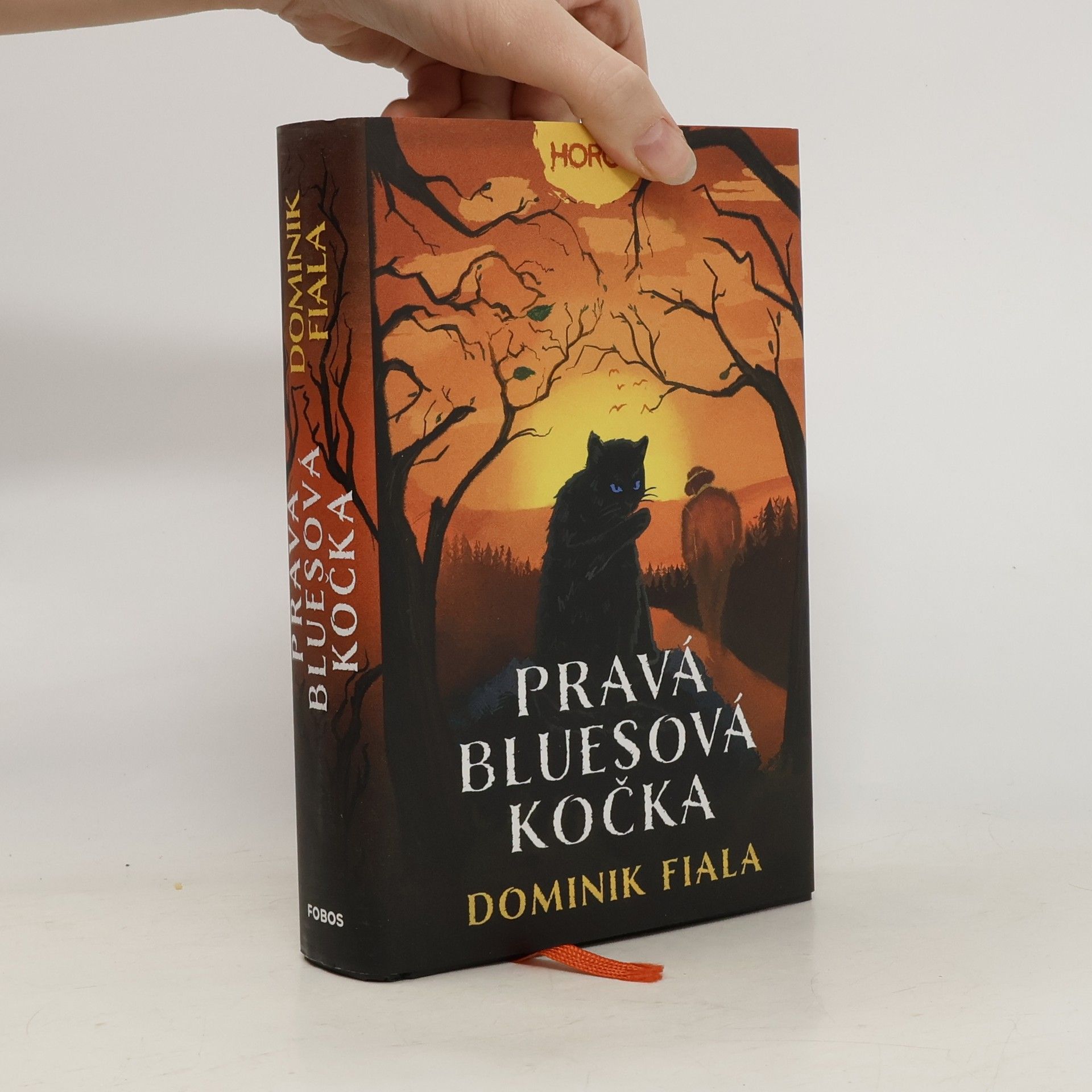 Dominik Fiala Pravá bluesová kočka