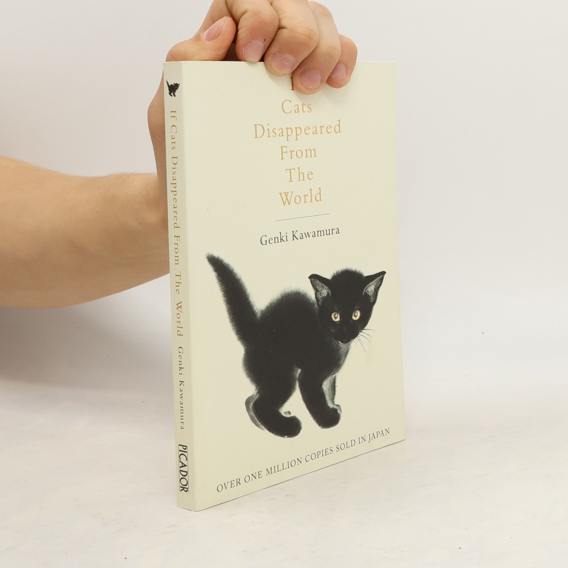 Genki Kawamura If Cats Disappeared from the World