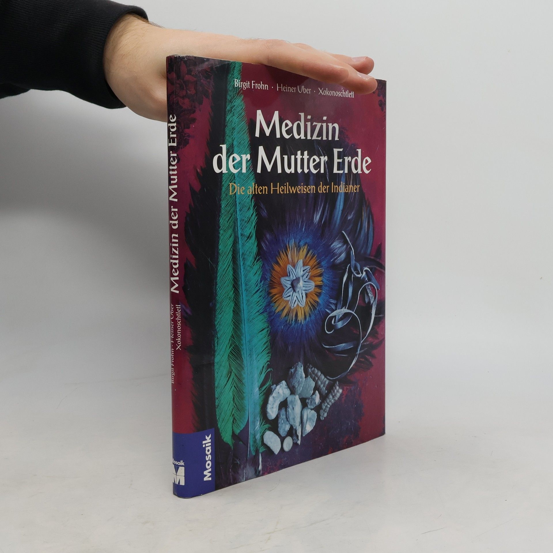 Brigit Frohn Medizin der Mutter Erde