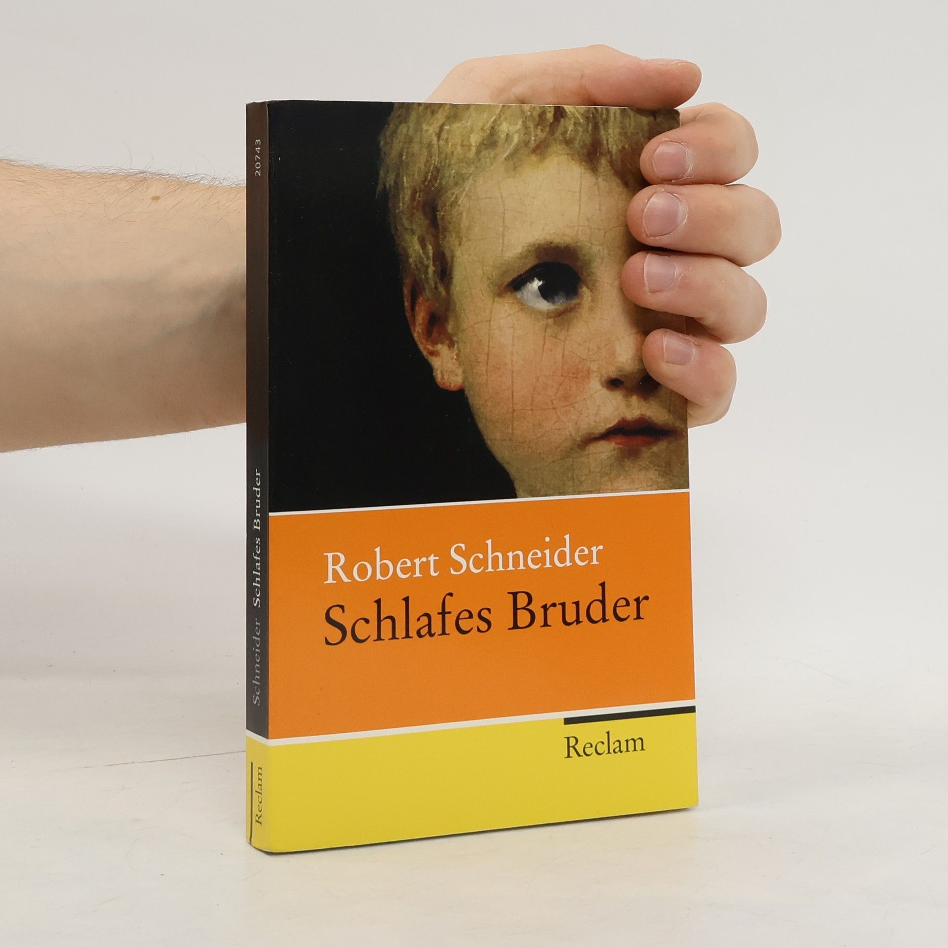 Robert Schneider Schlafes Bruder