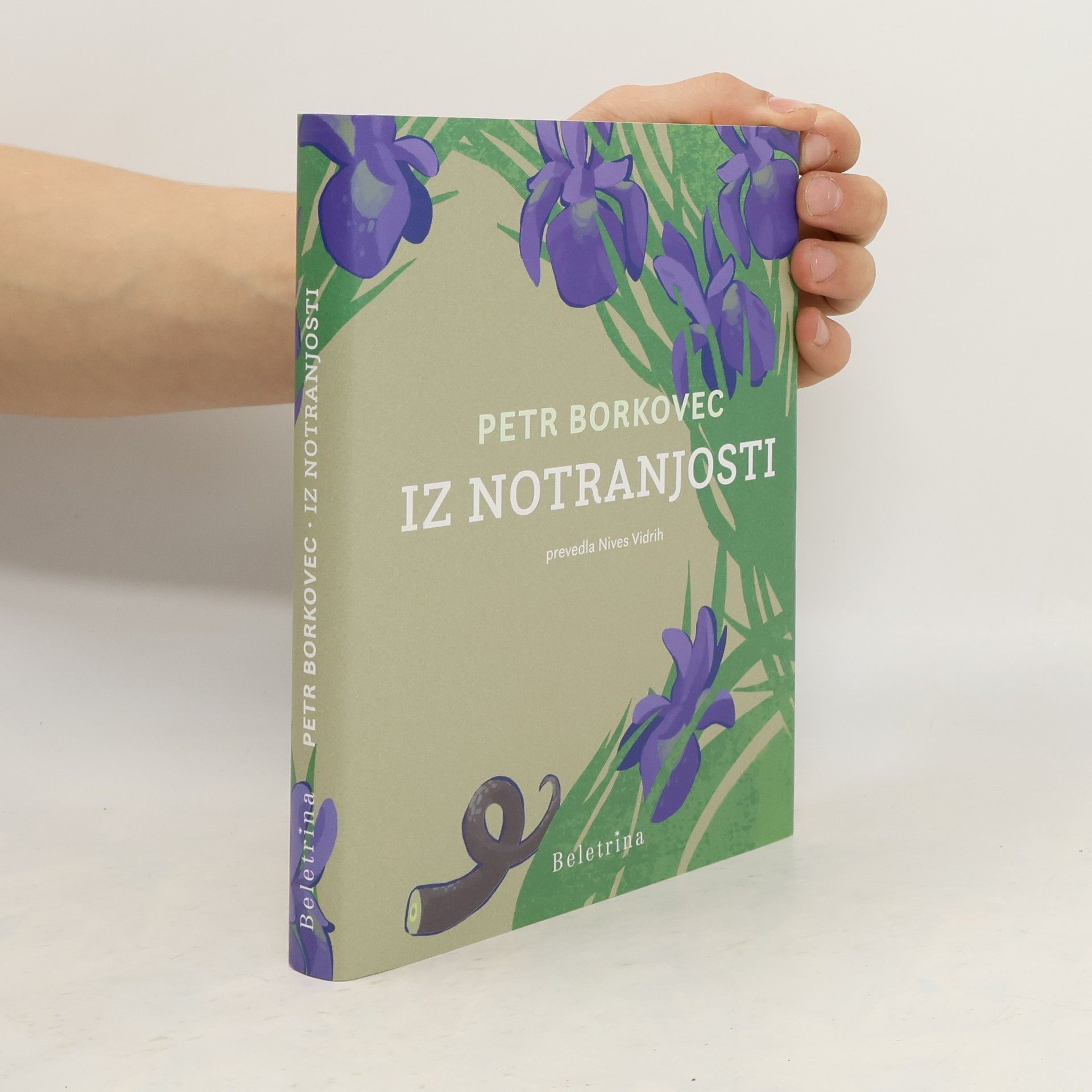 Petr Borkovec Iz notranjosti