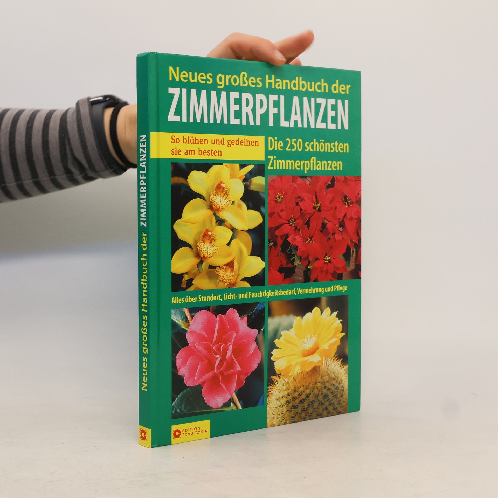 Auteurscollectief Neues großes Handbuch der Zimmerpflanzen