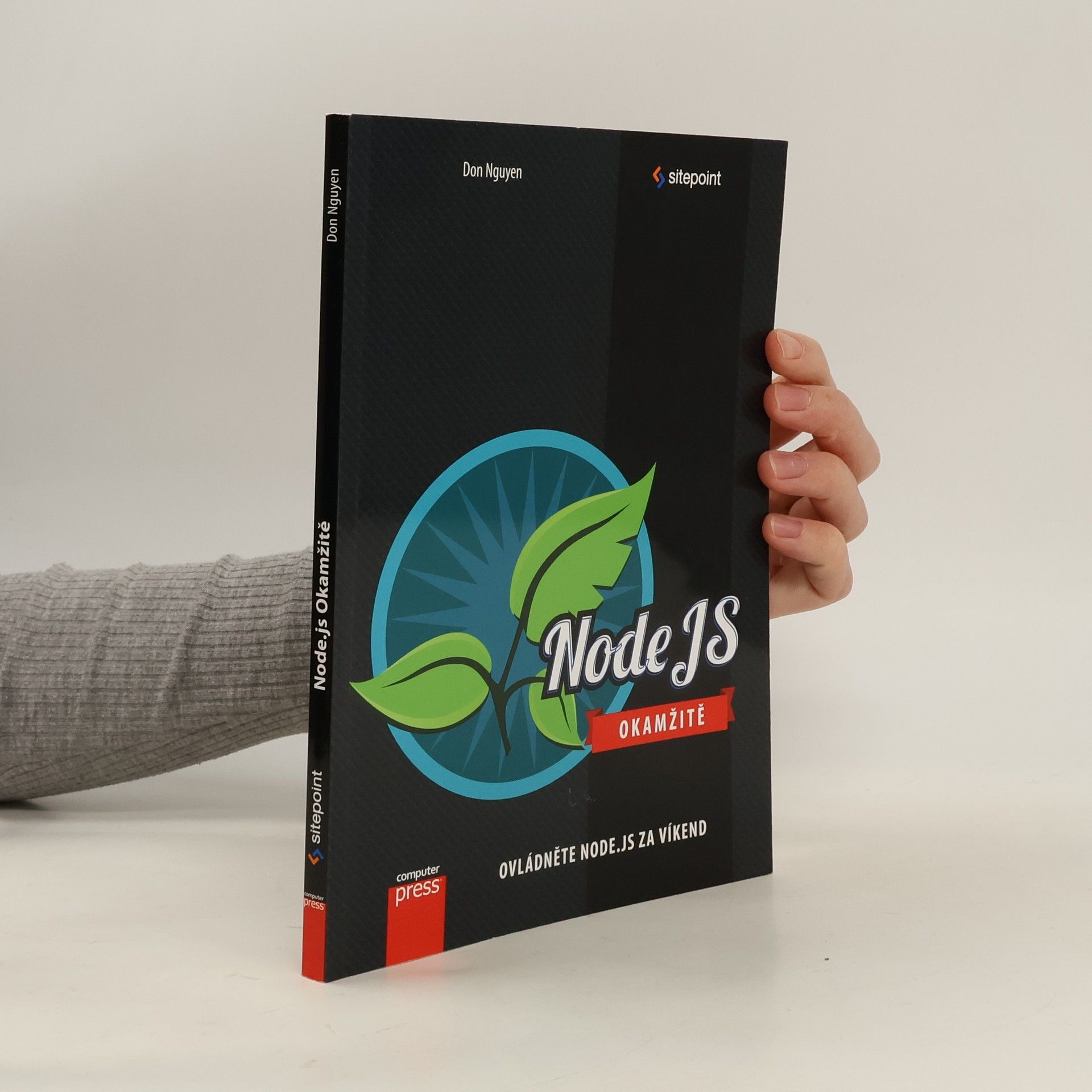 Don Nguyen Node.js Okamžitě