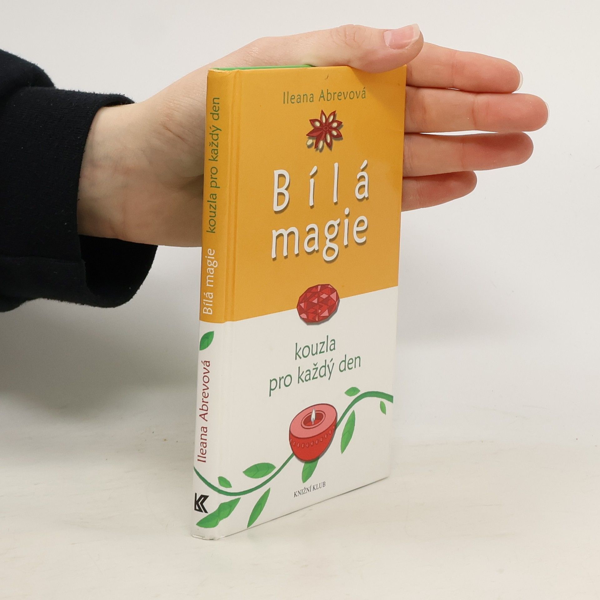 Bílá magie : kouzla pro každý den