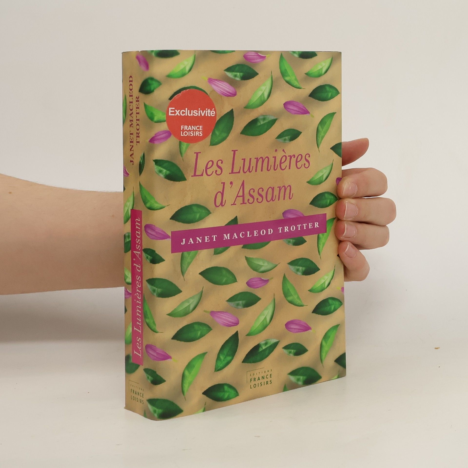 Cécile Arnaud Les Lumières d'Assam