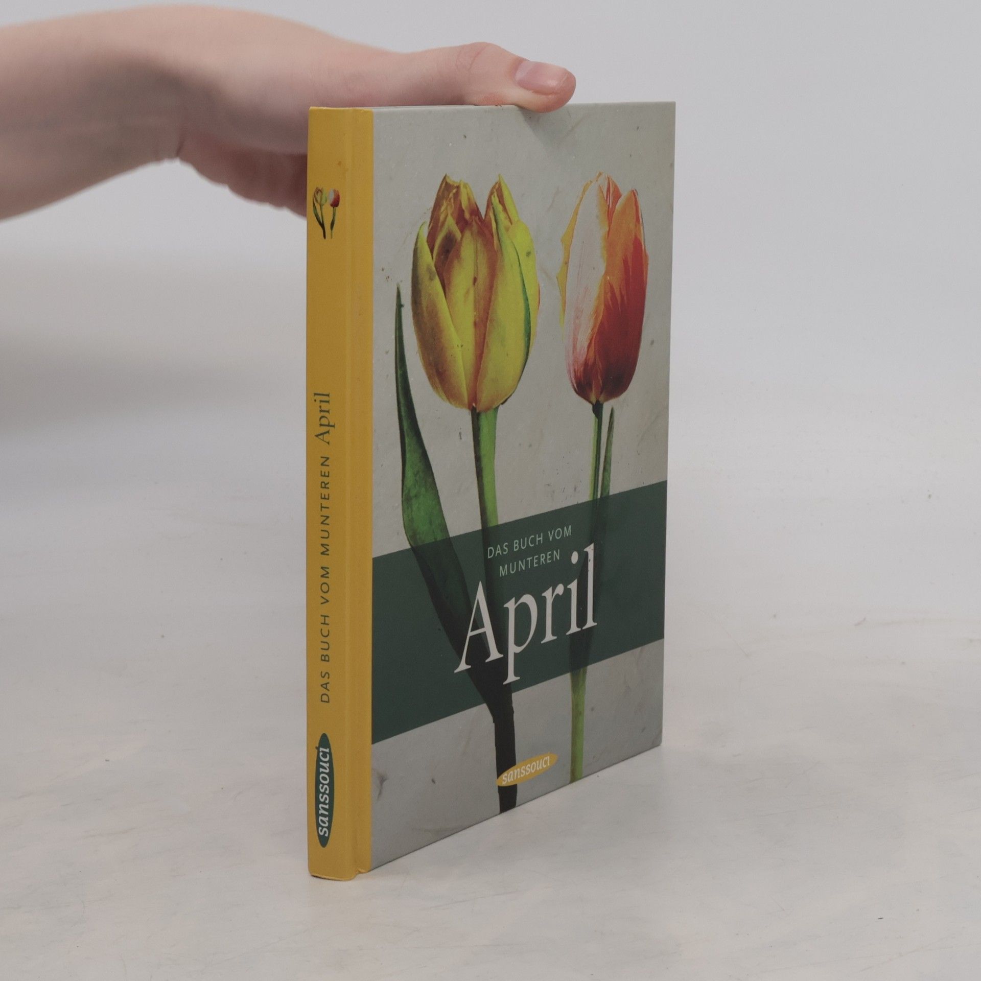 Thommie Bayer Das Buch vom munteren April