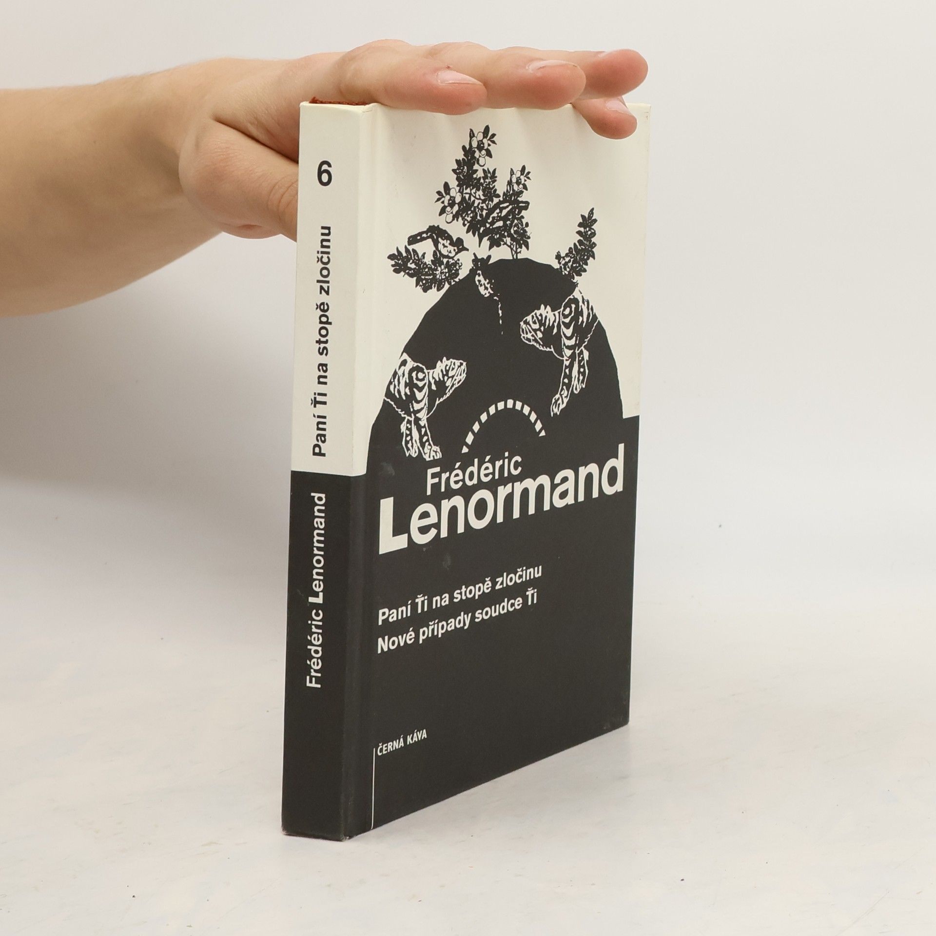 Frédéric Lenormand Paní Ťi na stopě zločinu