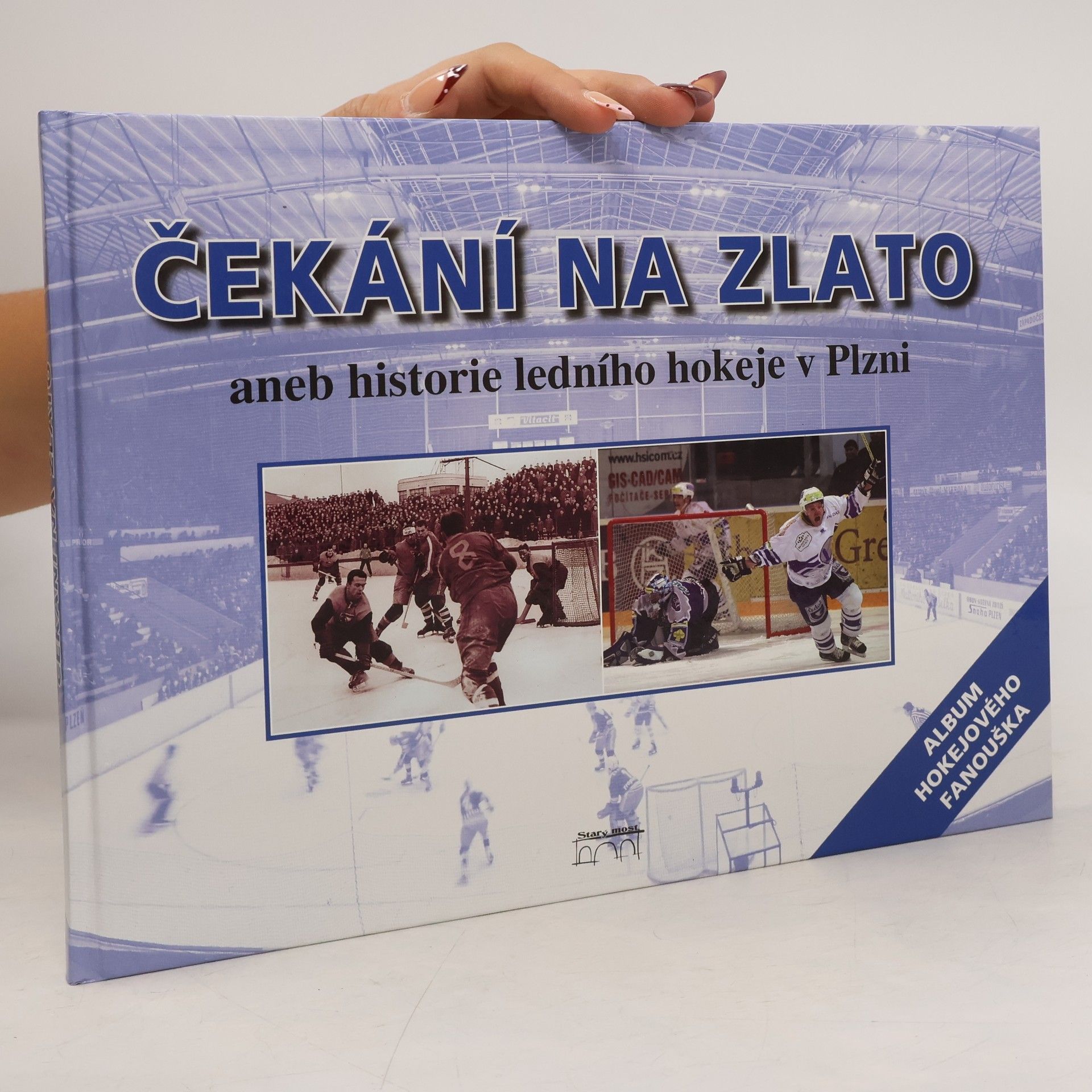 Petr Flachs Čekání na zlato, aneb, Historie ledního hokeje v Plzni