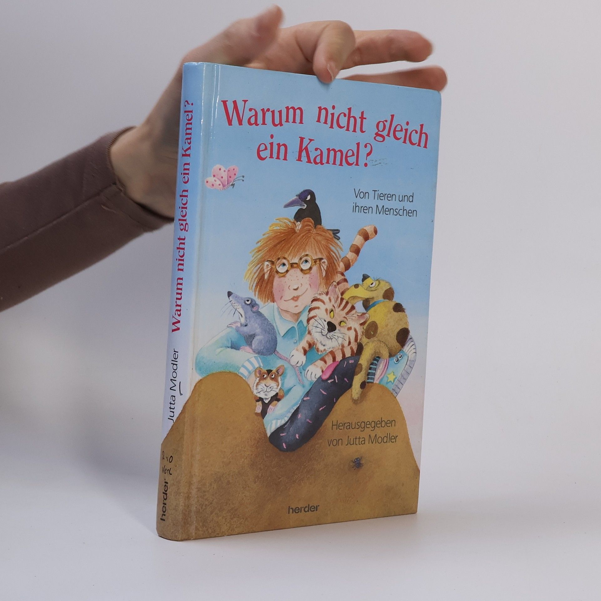 Warum nicht gleich ein Kamel?