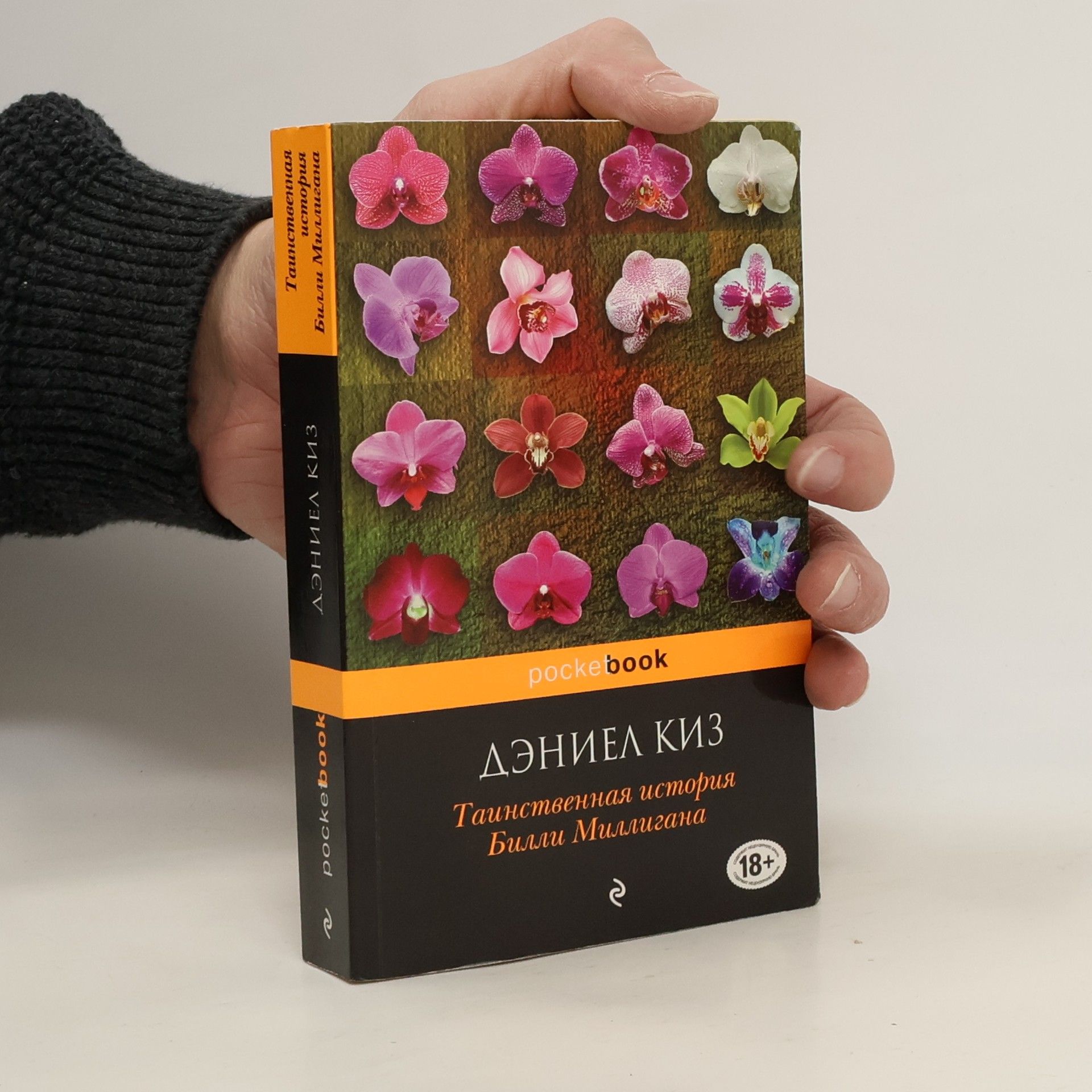 Deniel Kiz Таинственная история Билли Миллигана