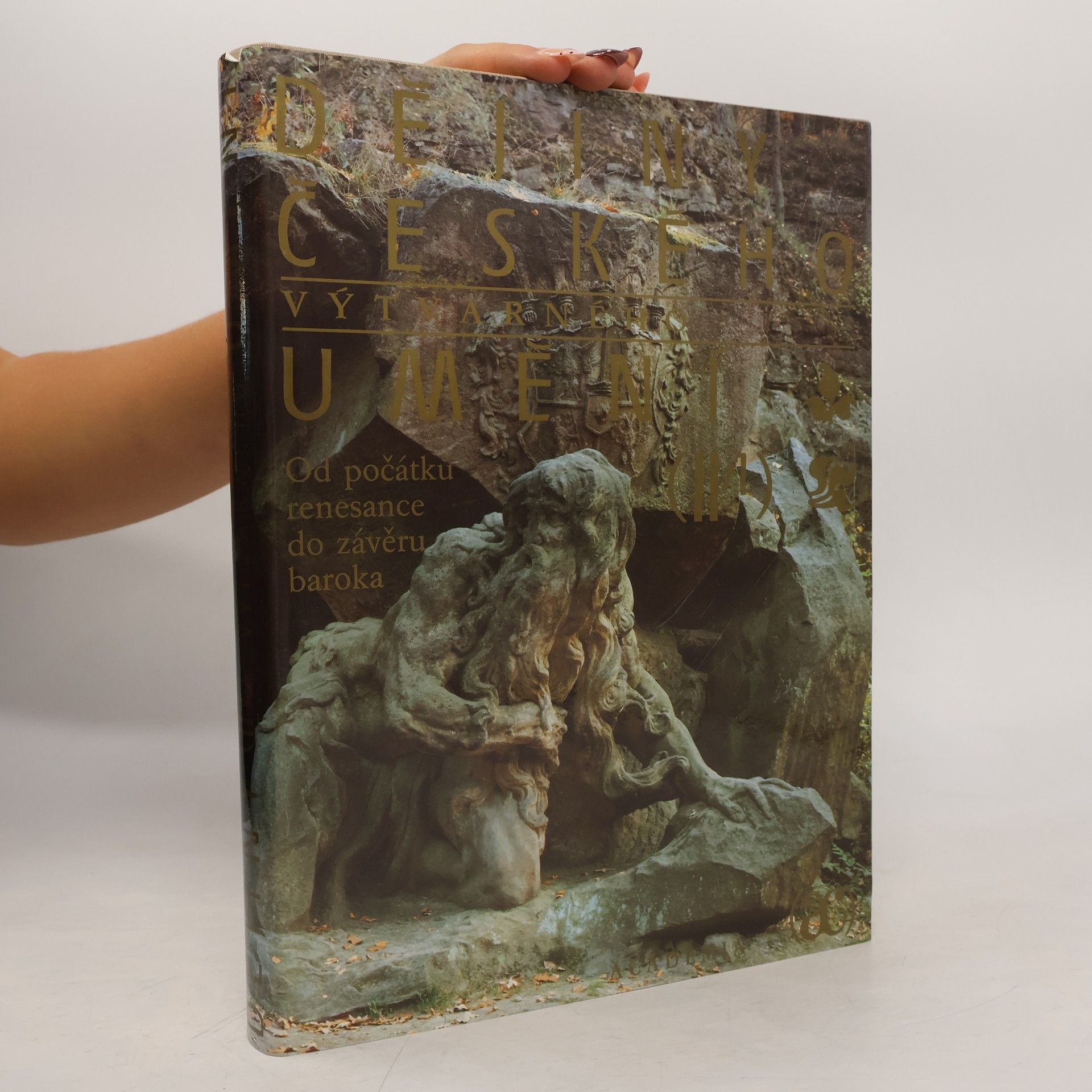 Kolektiv autorů Dějiny českého výtvarného umění II/1