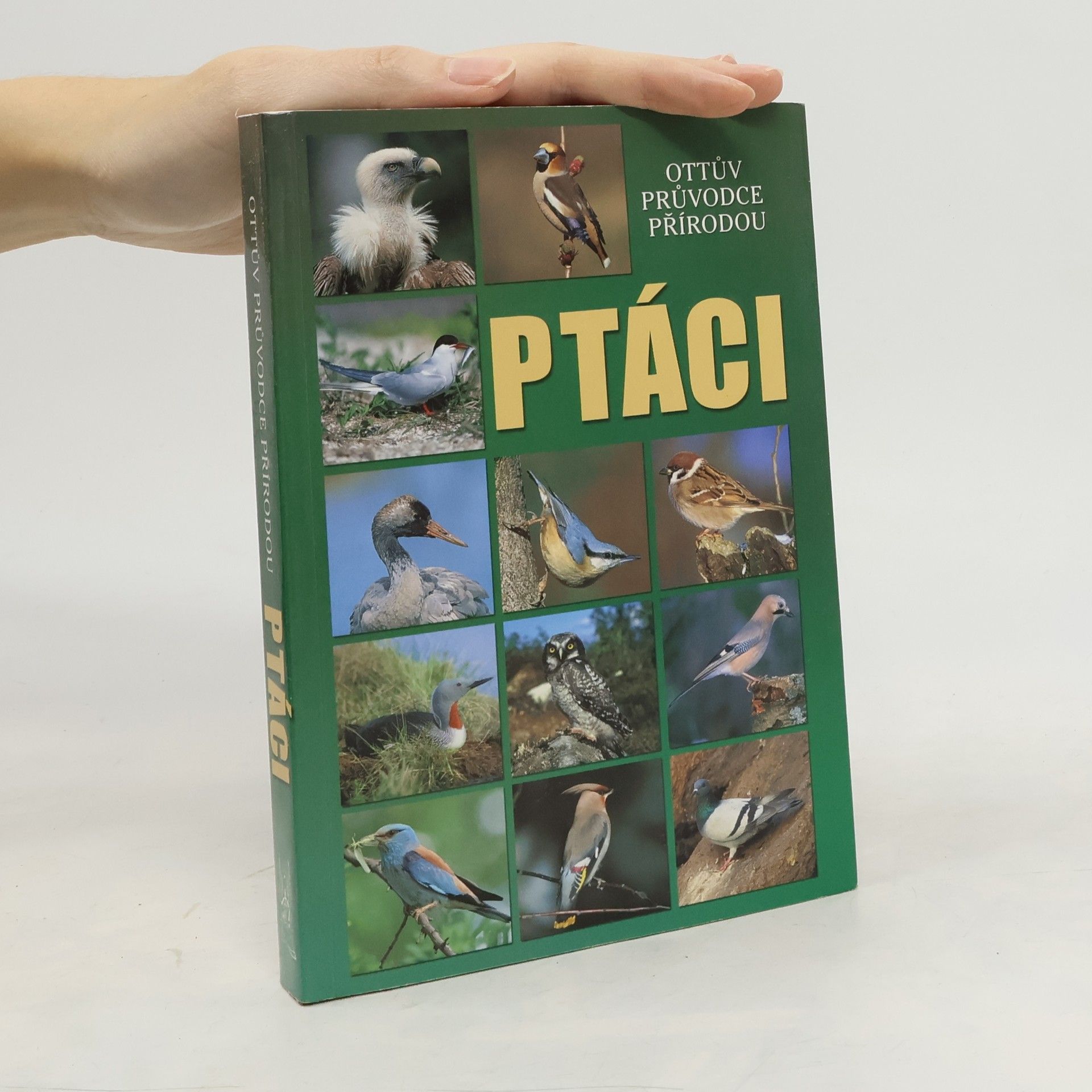 Alena Červená Ptáci - Ottův průvodce přírodou