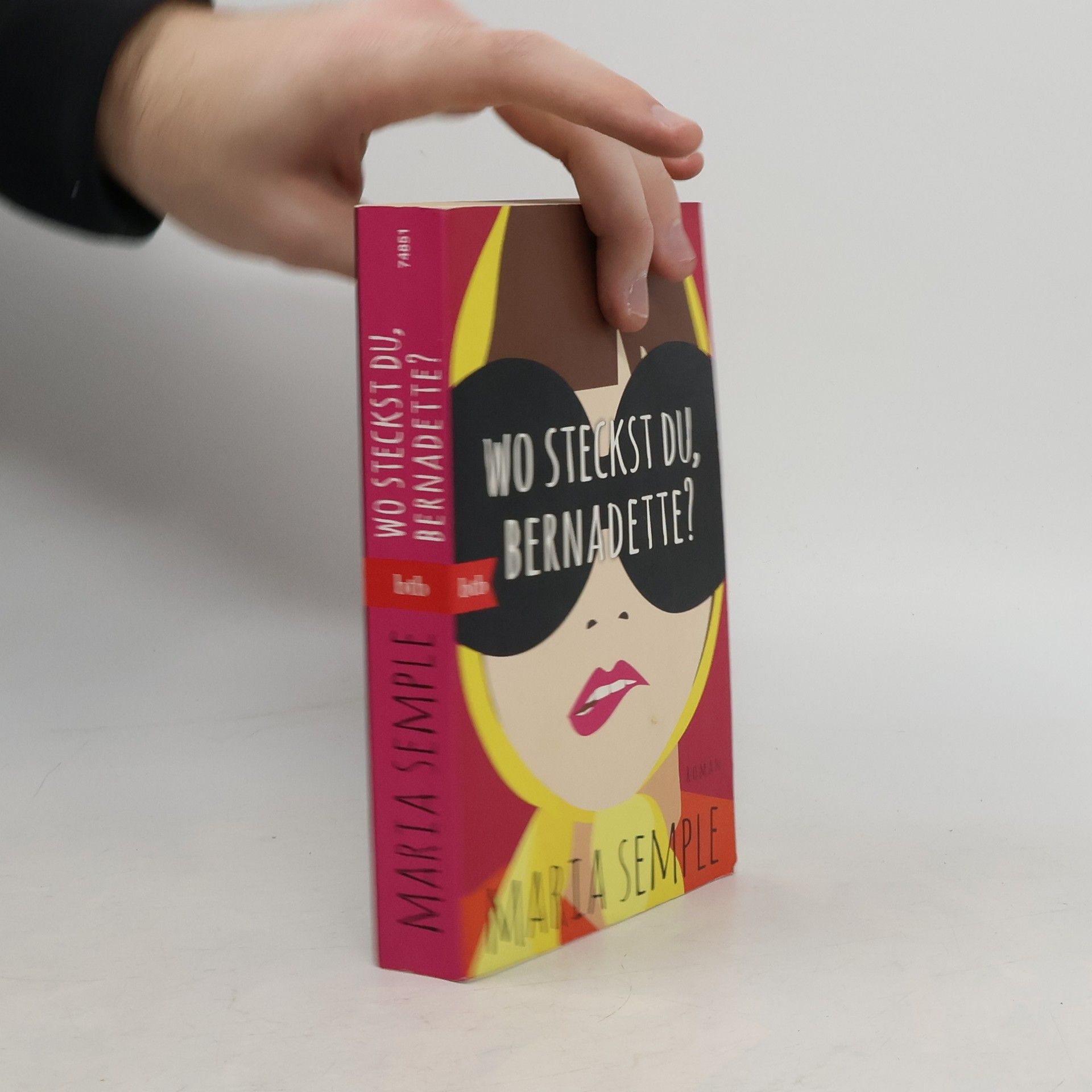 Maria Semple Wo steckst du, Bernadette?