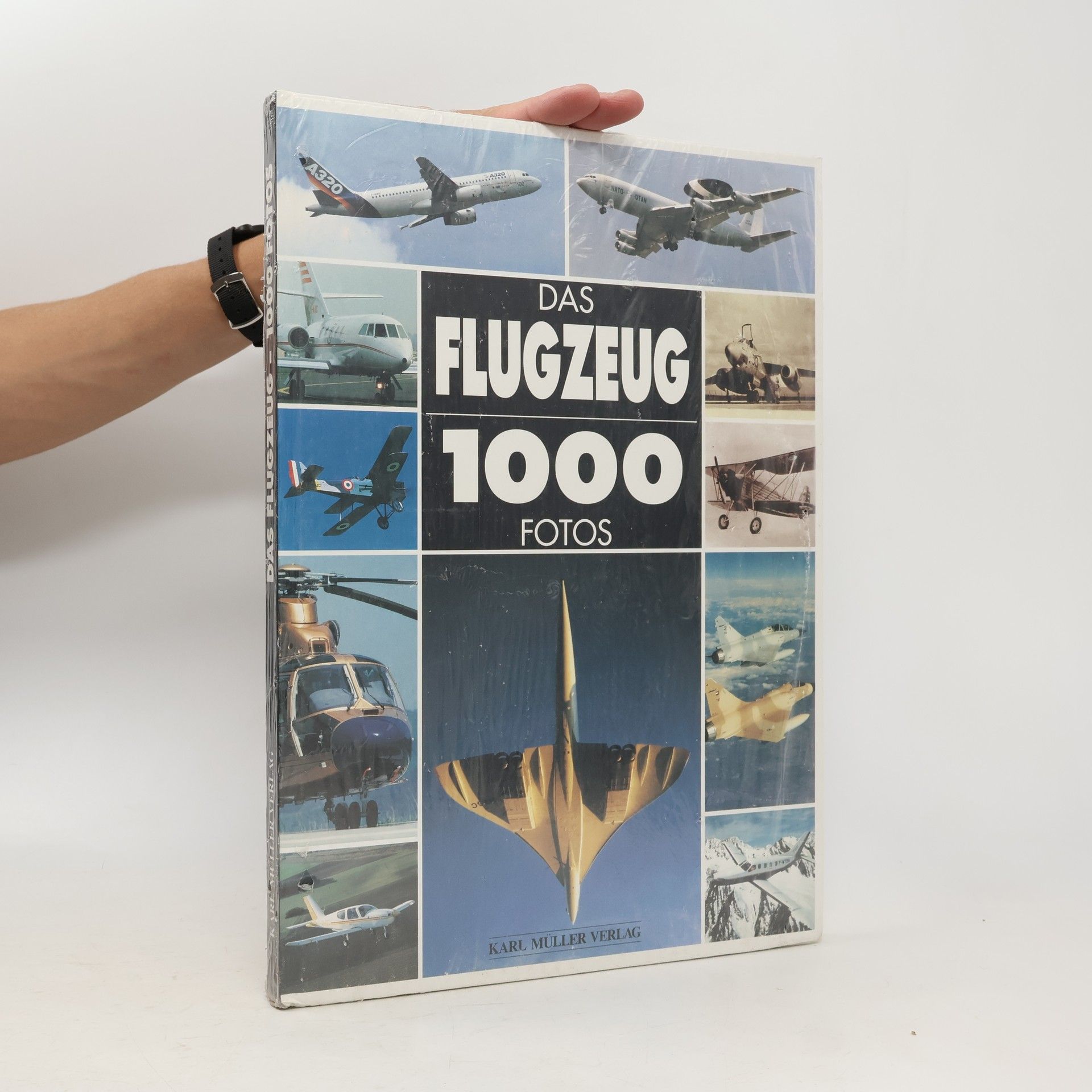 François Gross Das Flugzeug