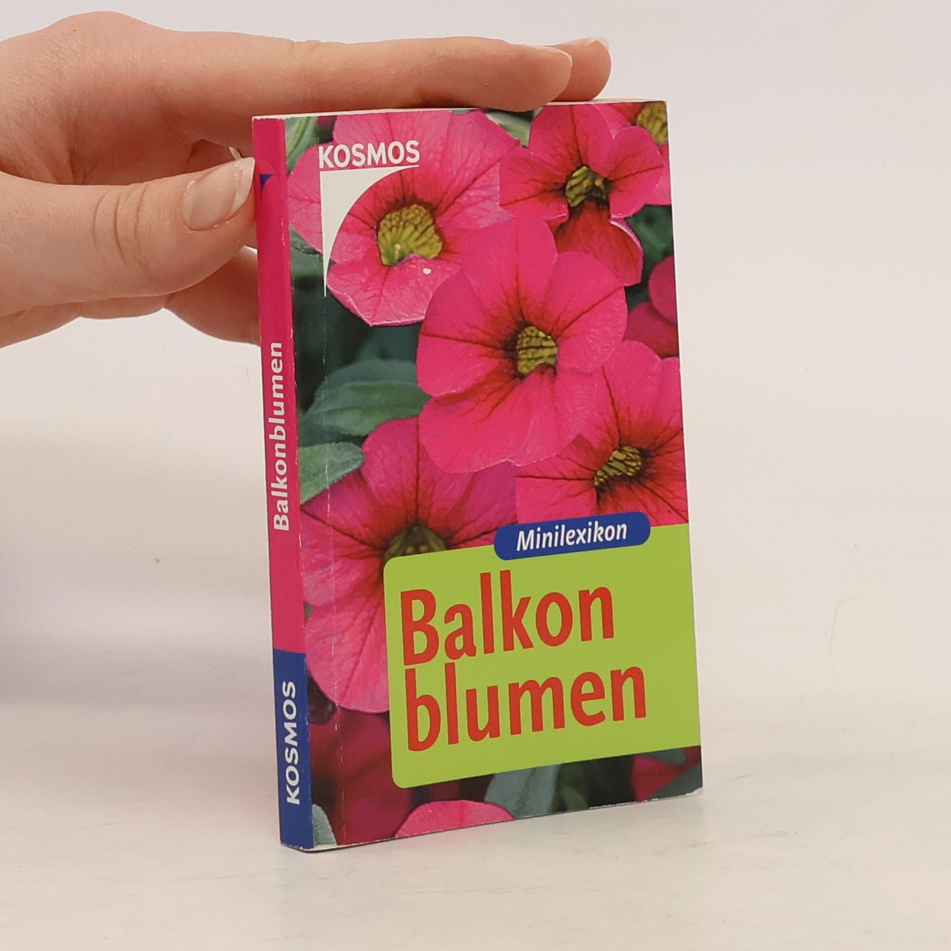 Folko Kullmann Balkonblumen