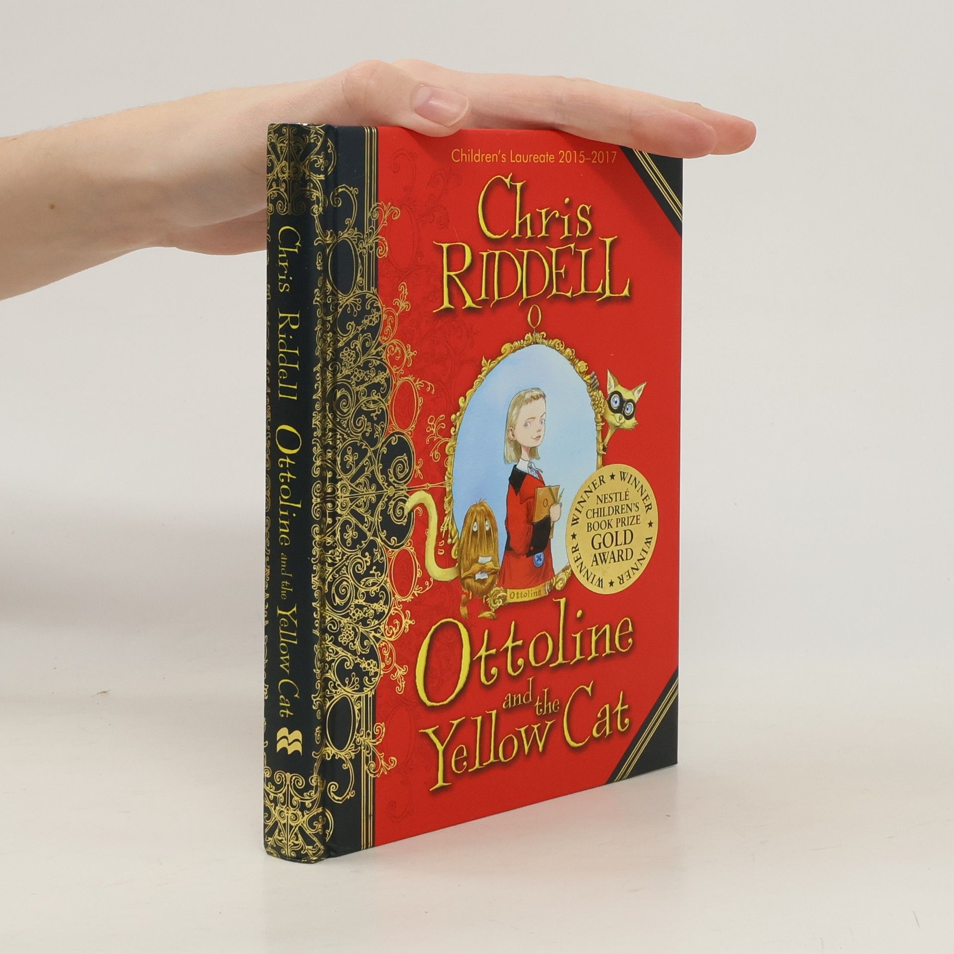 Chris Riddell Ottoline and the Yellow Cat