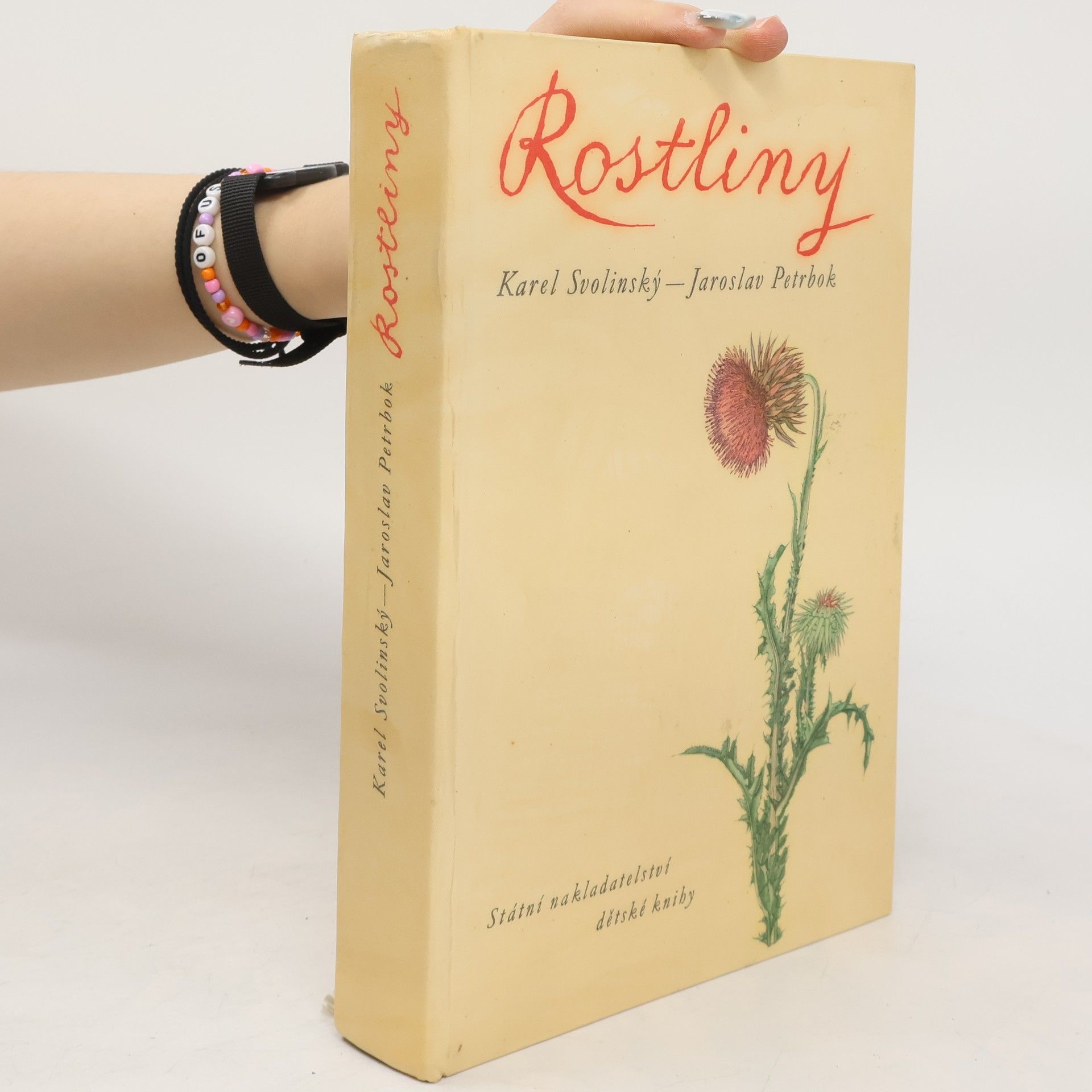 Karel Svolinský Rostliny