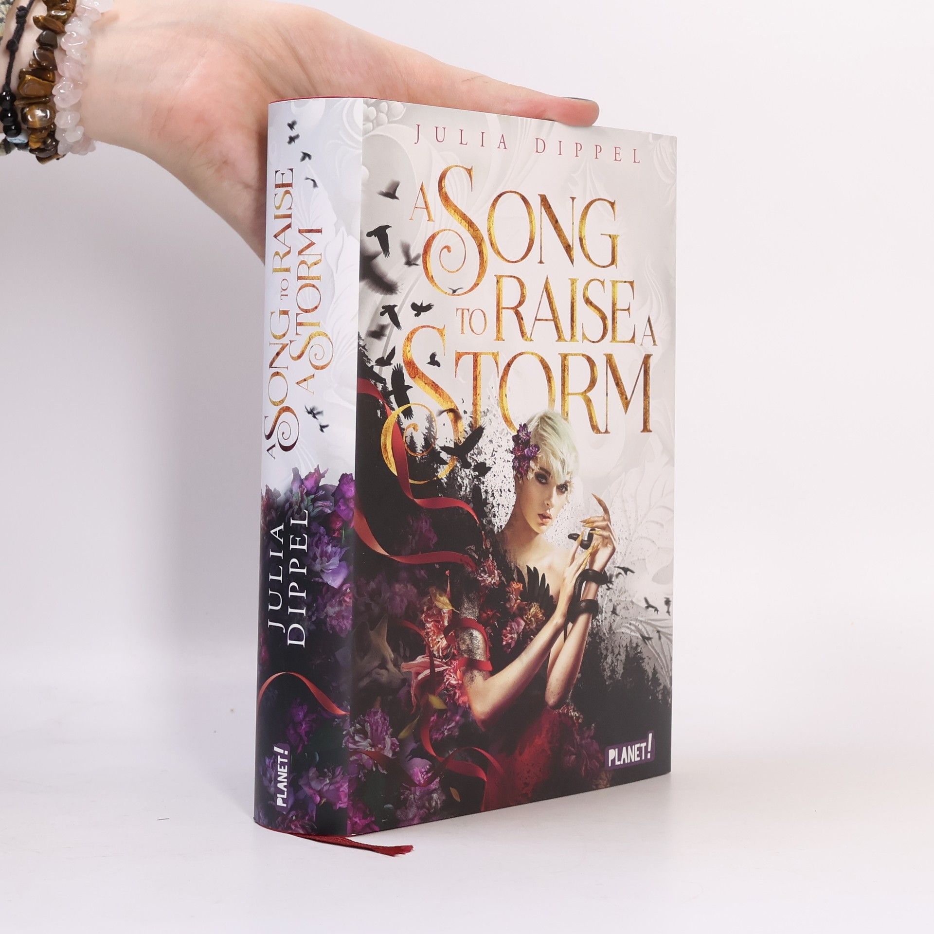 Julia Dippel Die Sonnenfeuer-Ballade 1: A Song to Raise a Storm