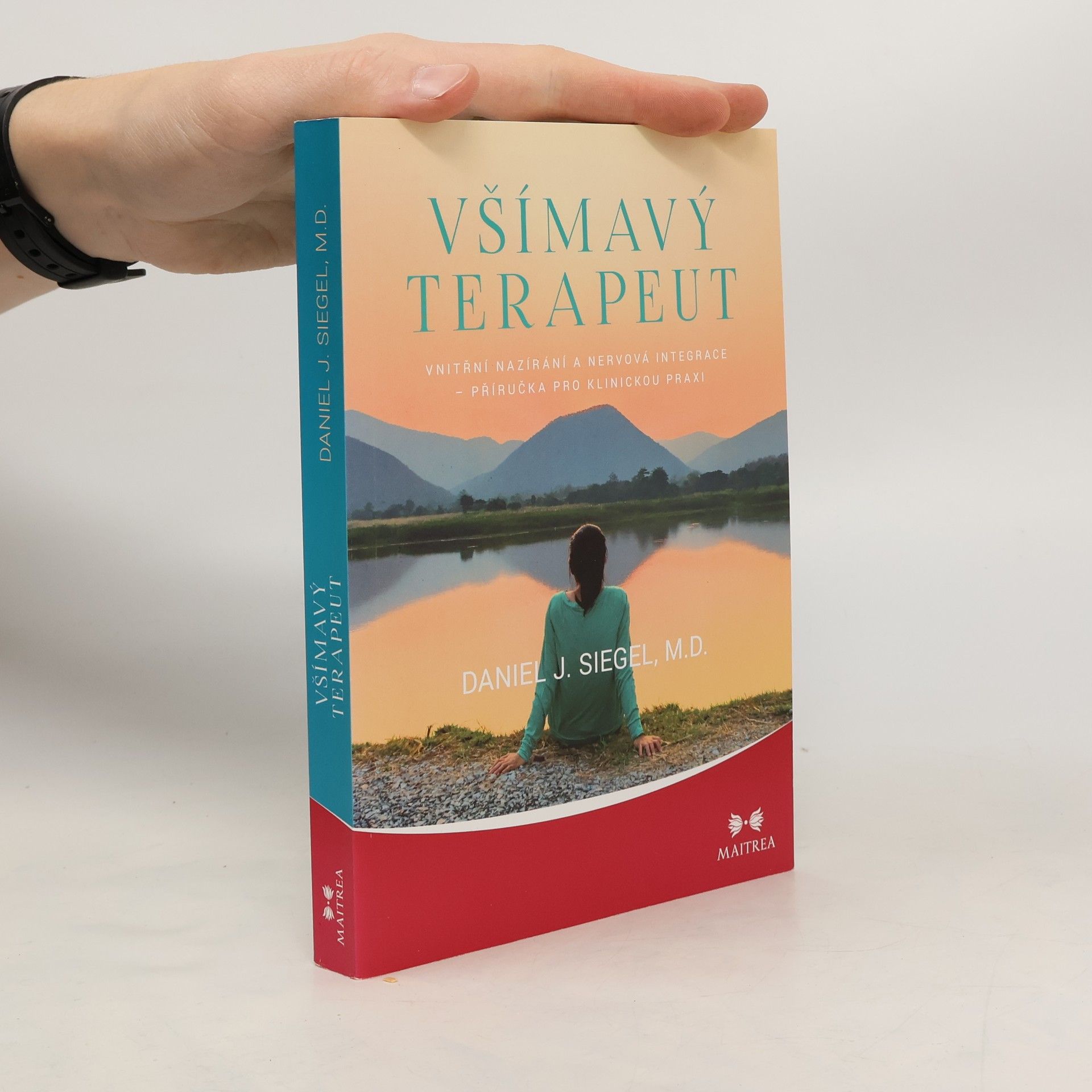 Daniel Siegel Všímavý terapeut - Vnitřní nazírání a nervová integrace - příručka pro klinickou praxi