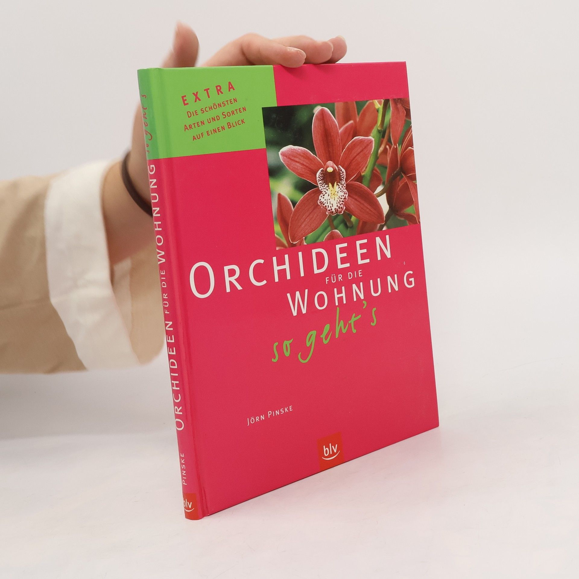 Jörn Pinske Orchideen für die Wohnung - so geht's