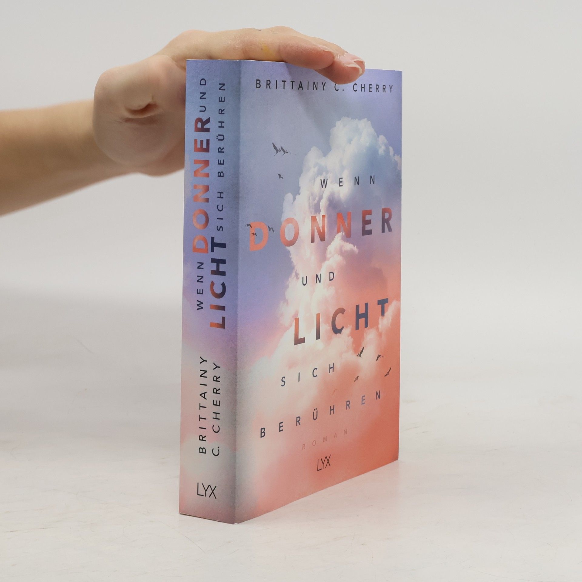 Brittainy C. Cherry Wenn Donner und Licht sich berühren