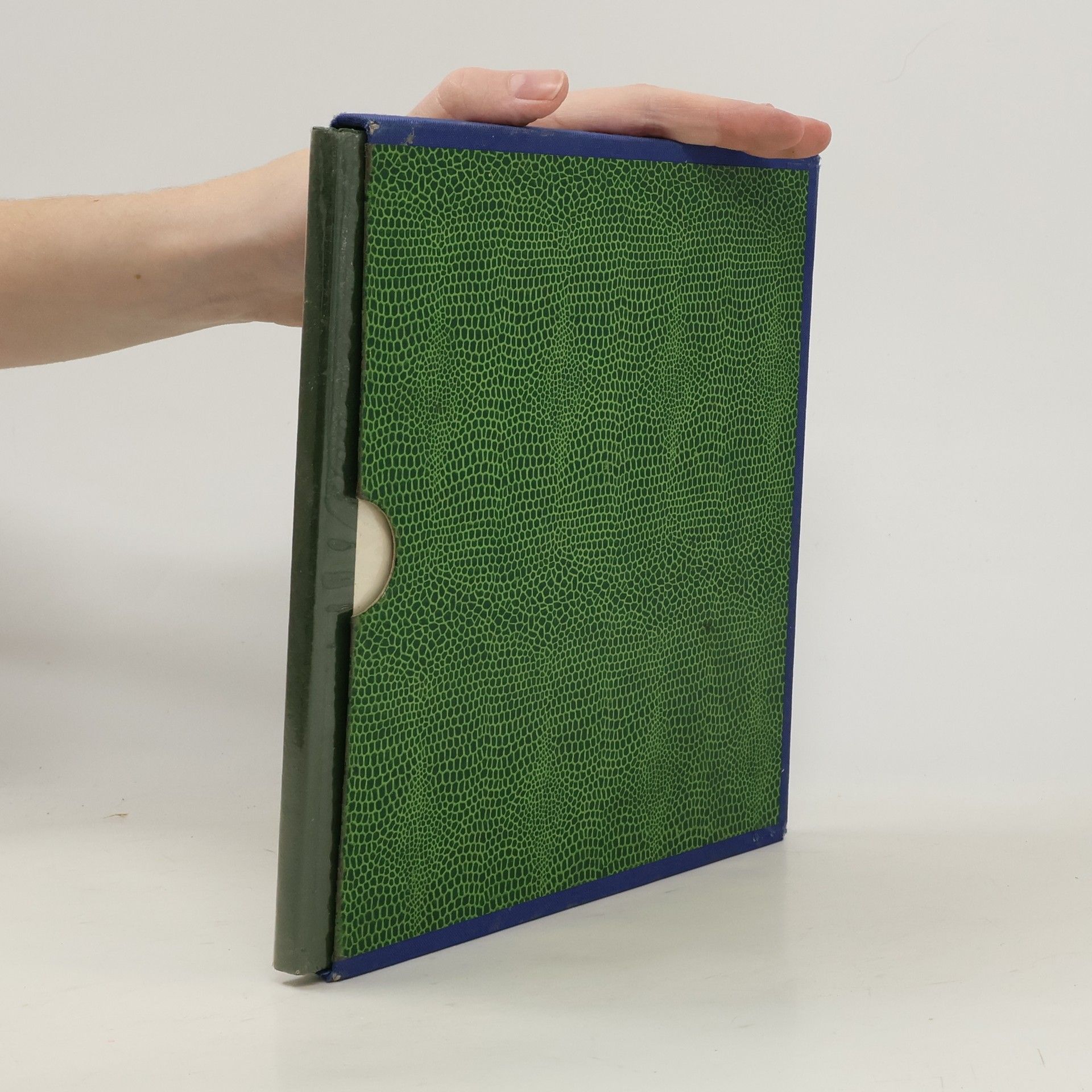 Collectif d'auteurs Die Frühzeit des Holzschnitts