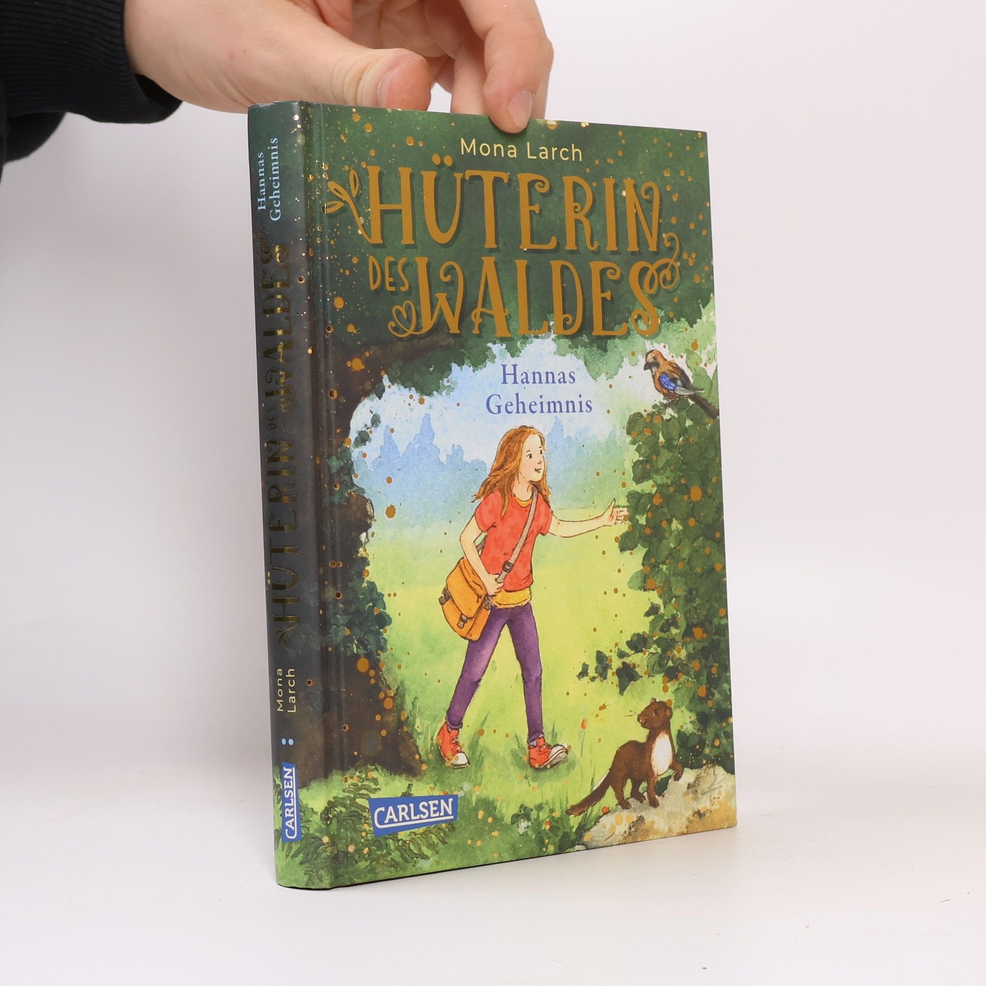 Mona Larch Hüterin des Waldes 1: Hannas Geheimnis