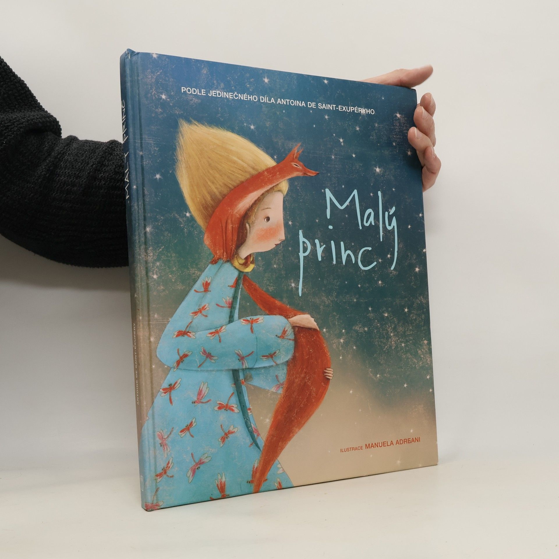 Valeria Manferto Malý princ (převyprávění)