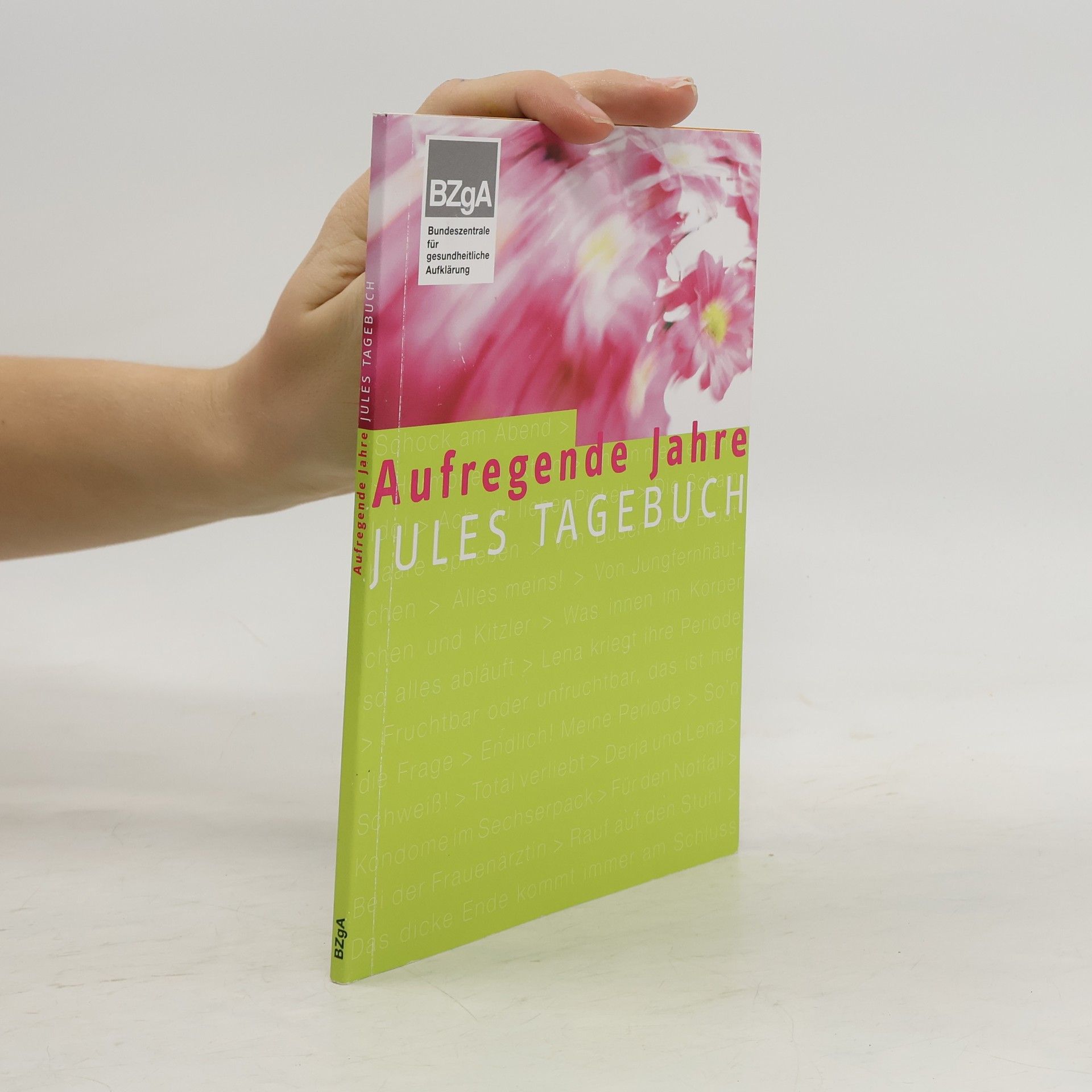 AA.VV. Aufregende Jahre. Jules Tagebuch