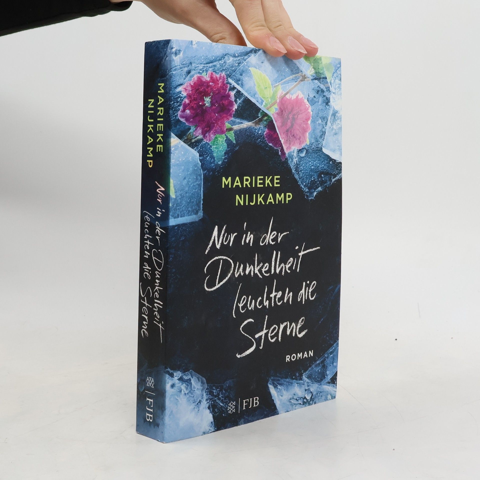 Marieke Nijkamp Nur in der Dunkelheit leuchten die Sterne