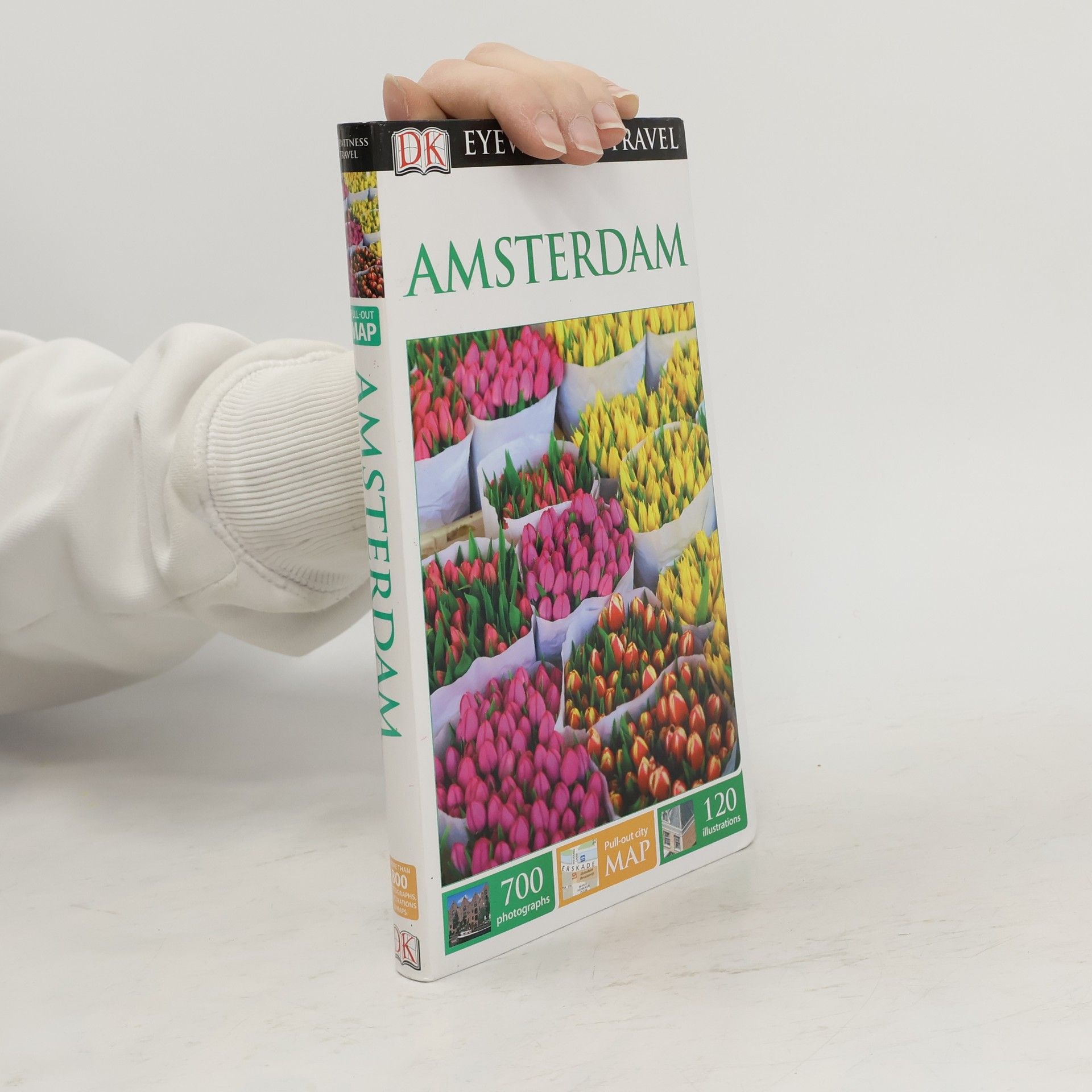 Robin Pascoe DK Eyewitness Travel Guide: Amsterdam