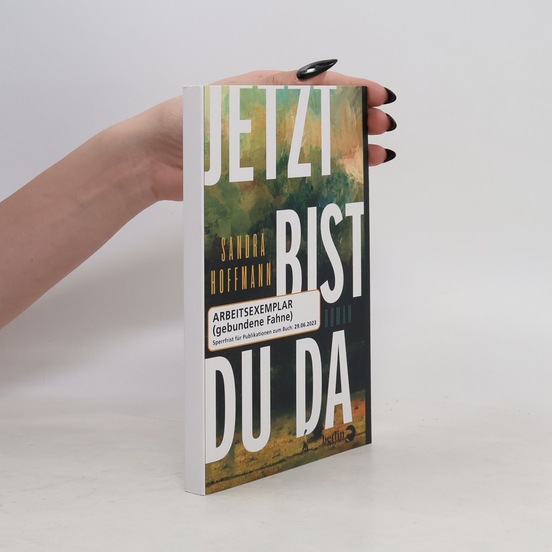 Sandra Hoffmann Jetzt bist du da