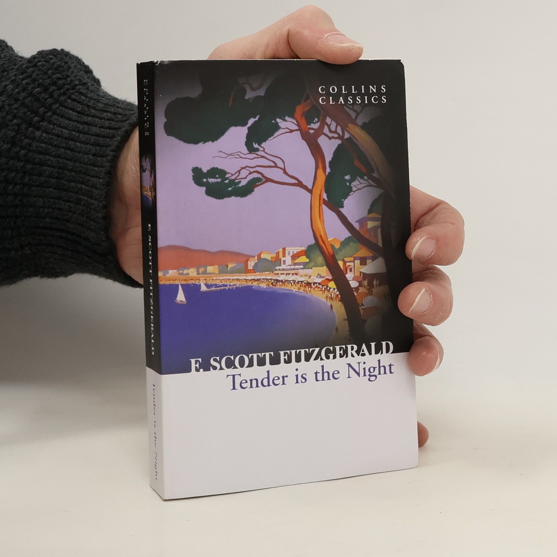 Francis Scott Fitzgerald Tender is The Night