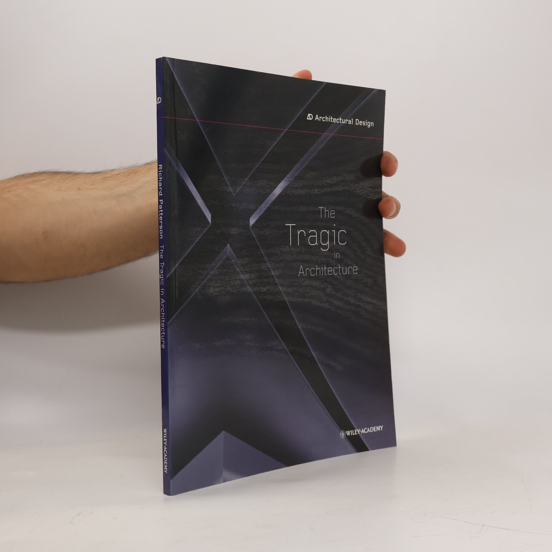 Richard Patterson Architectural Design: The Tragic in Architecture