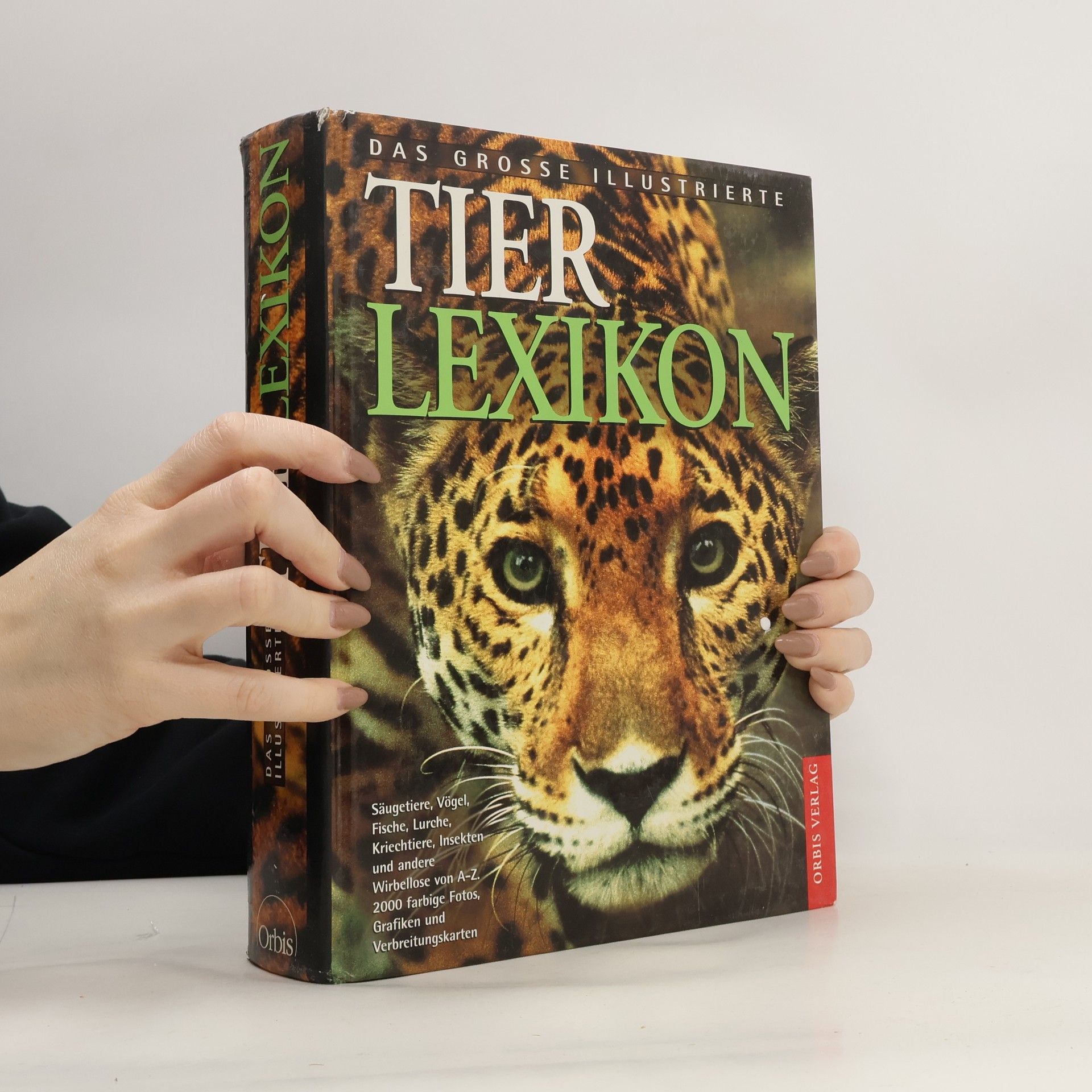 Auteurscollectief Da große illustrierte Tier Lexikon