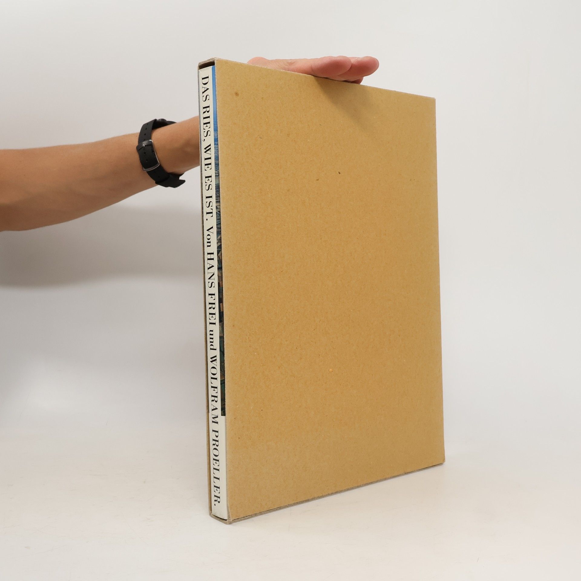 Hans Frei Das Ries, wie es ist.