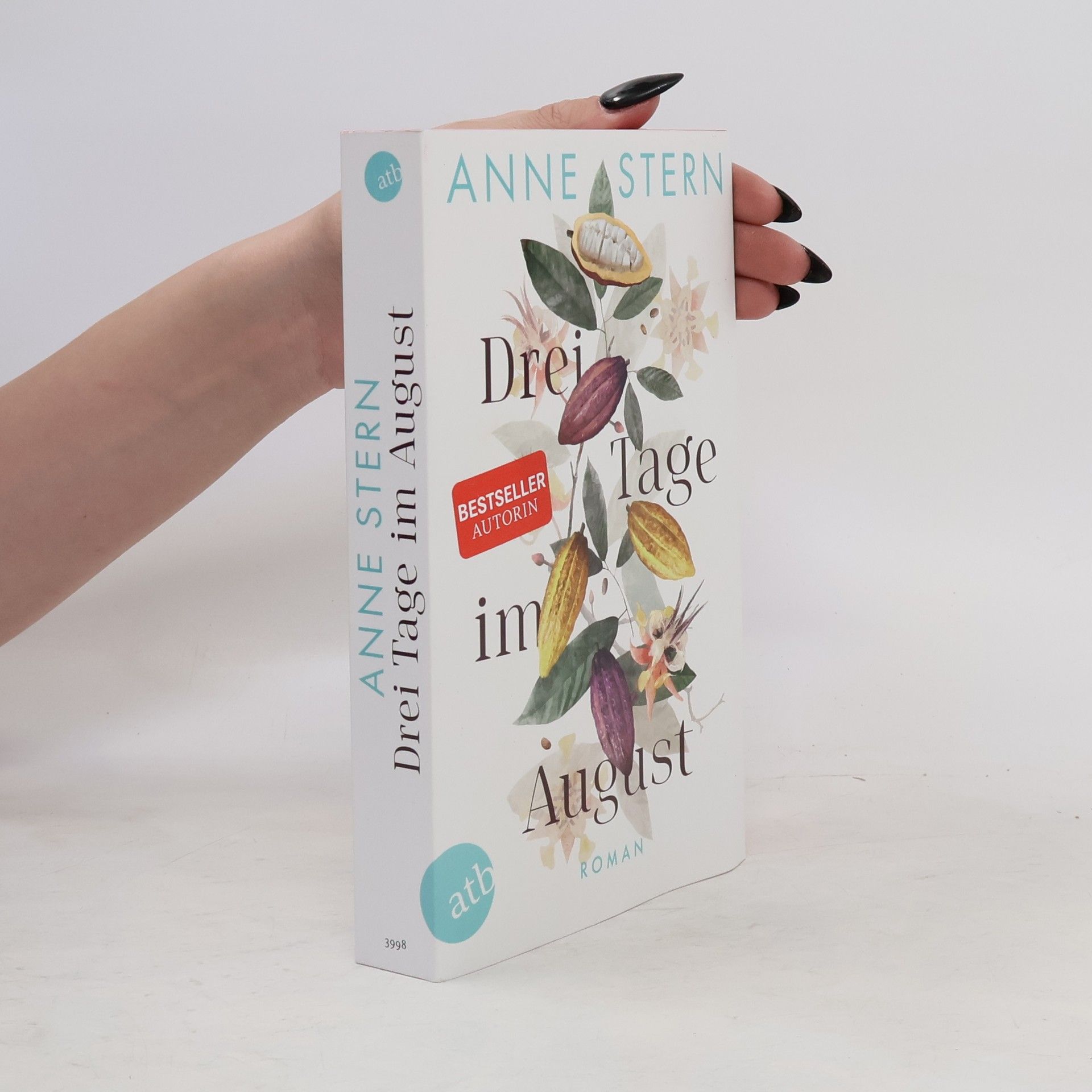 Anne Stern Drei Tage im August