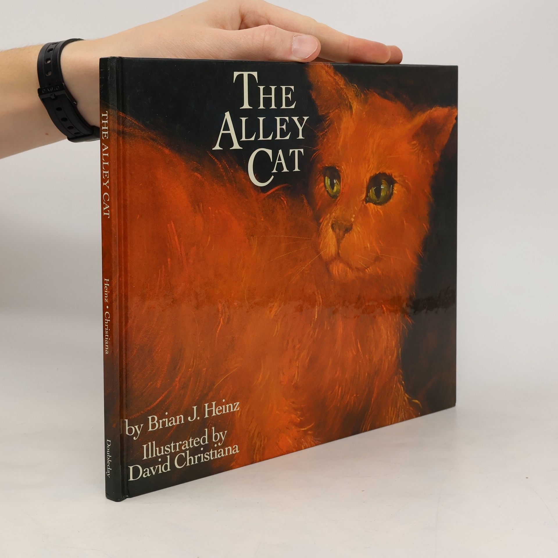 Brian J. Heinz The Alley Cat