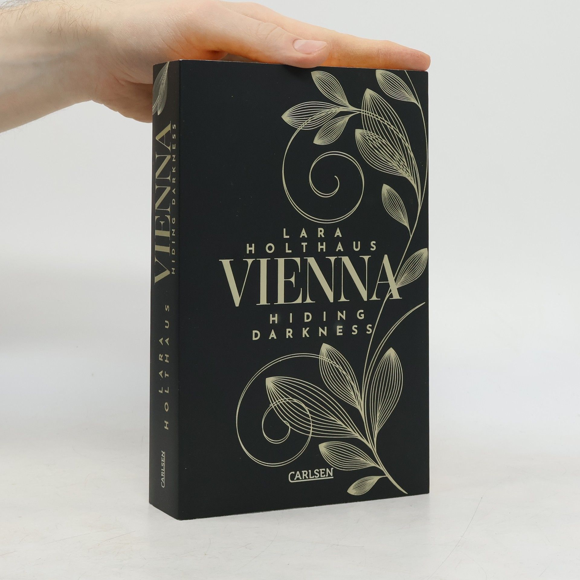 Lara Holthaus Hiding Darkness / Vienna Bd.2