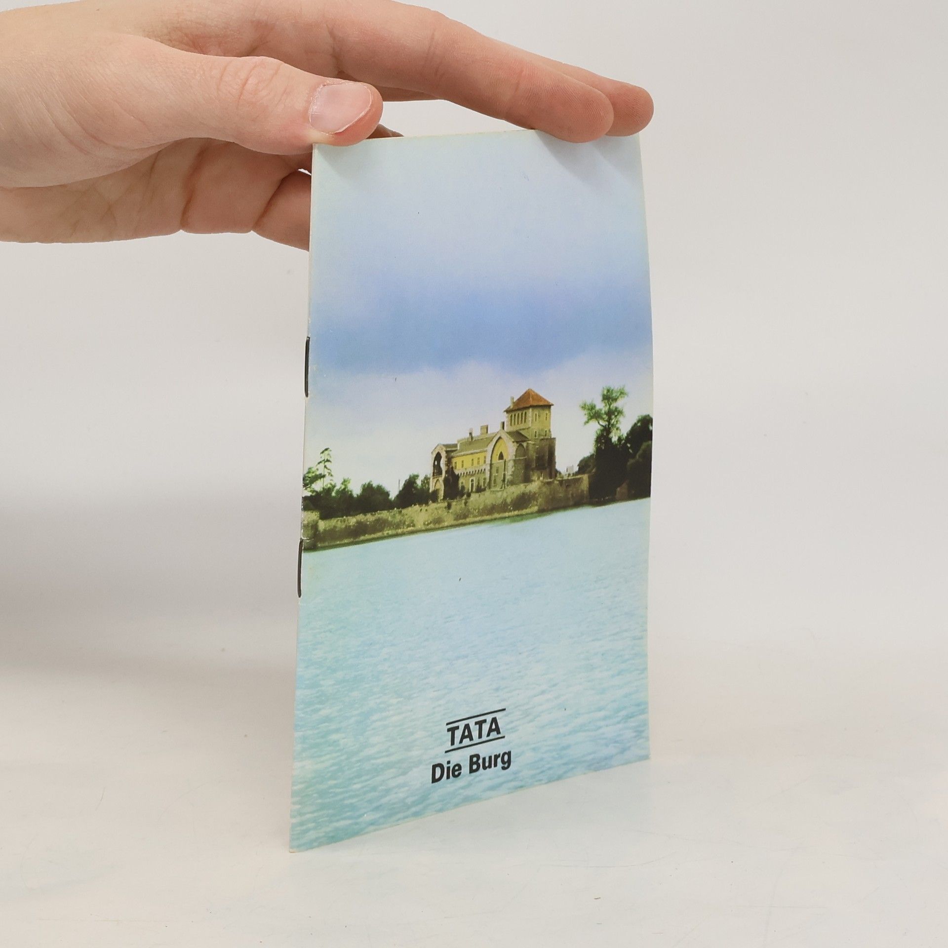 Sarolta Szatmári Tata, die Burg