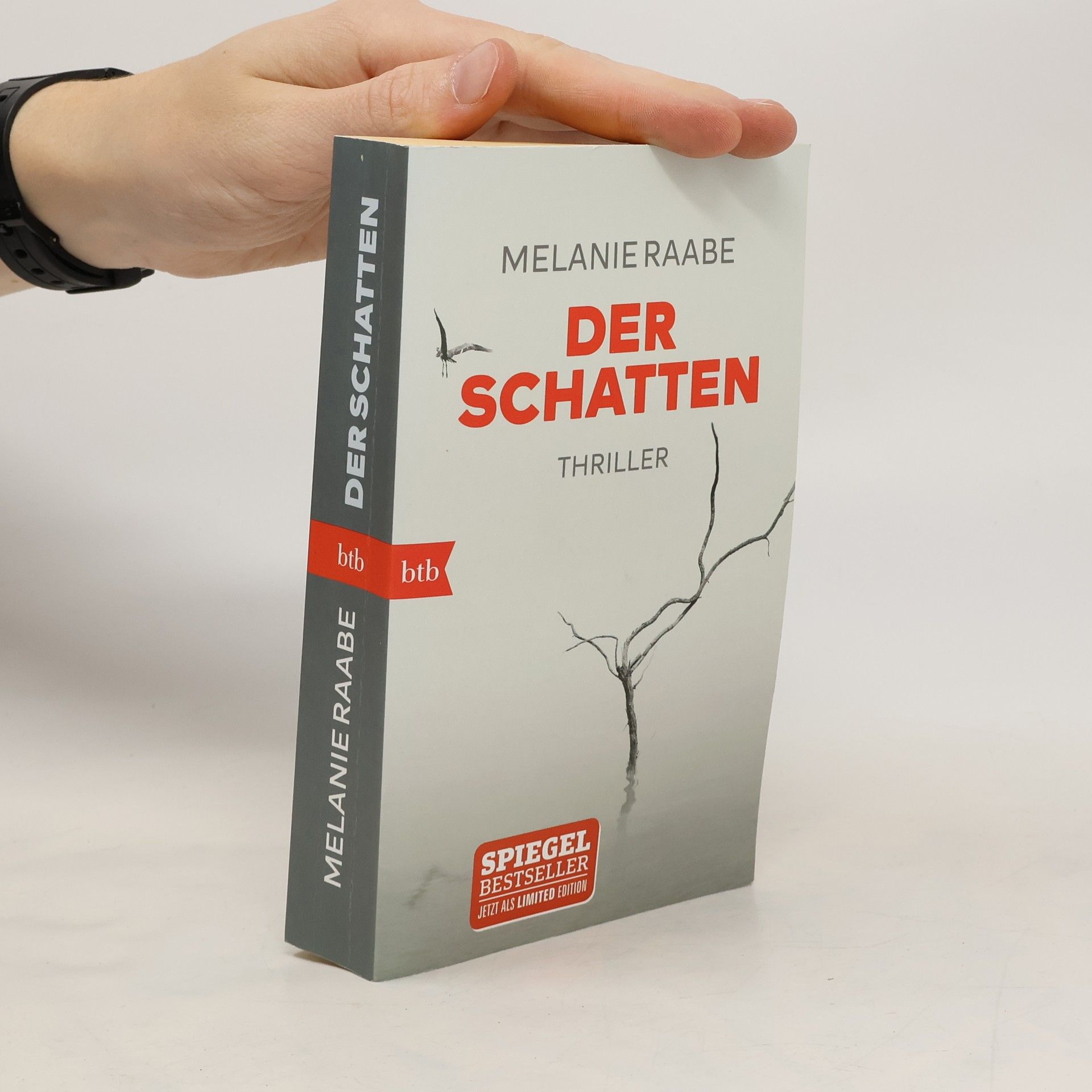 Melanie Raabe Der Schatten
