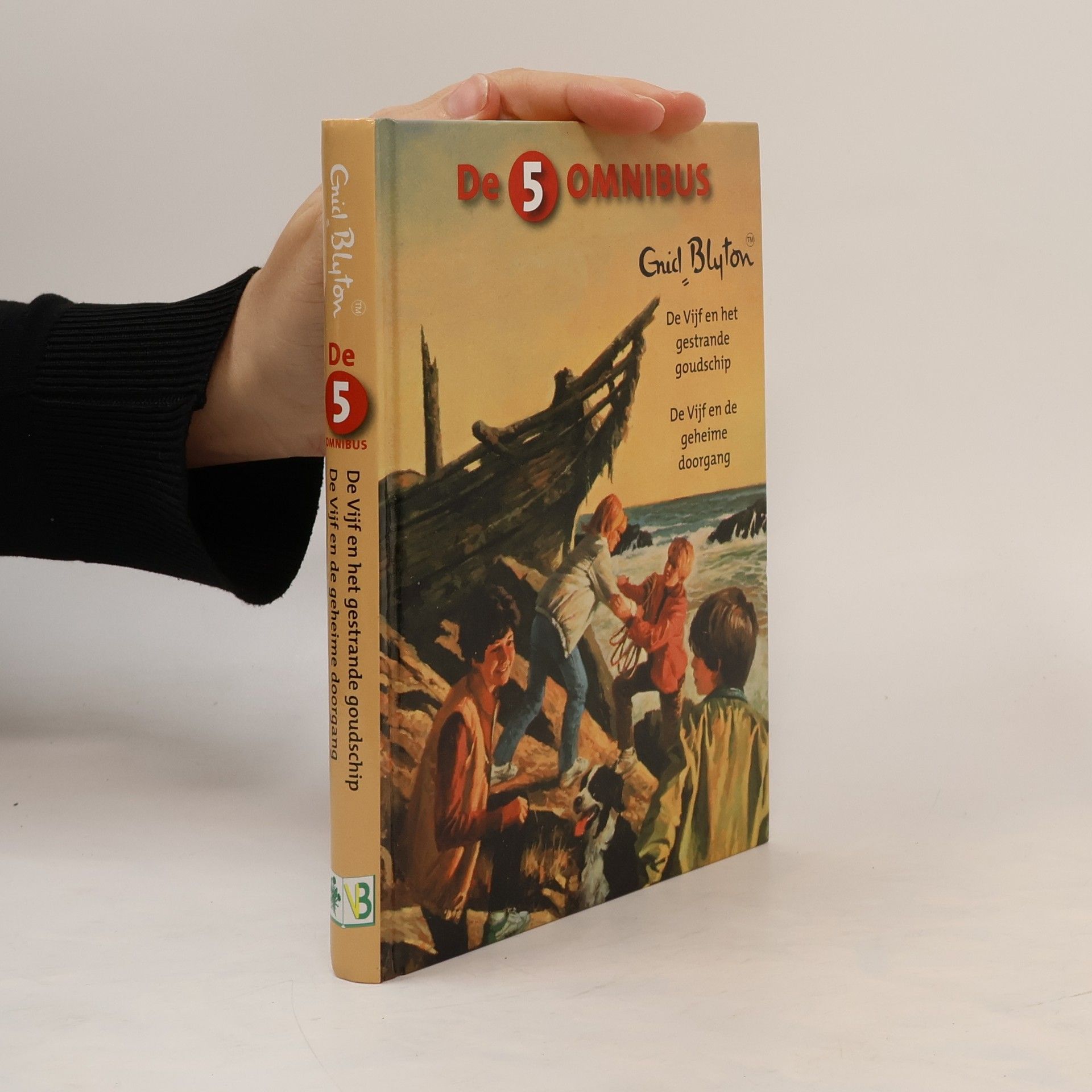 De Vijf en het gestrande goudschip. De Vijf en de geheime doorgang