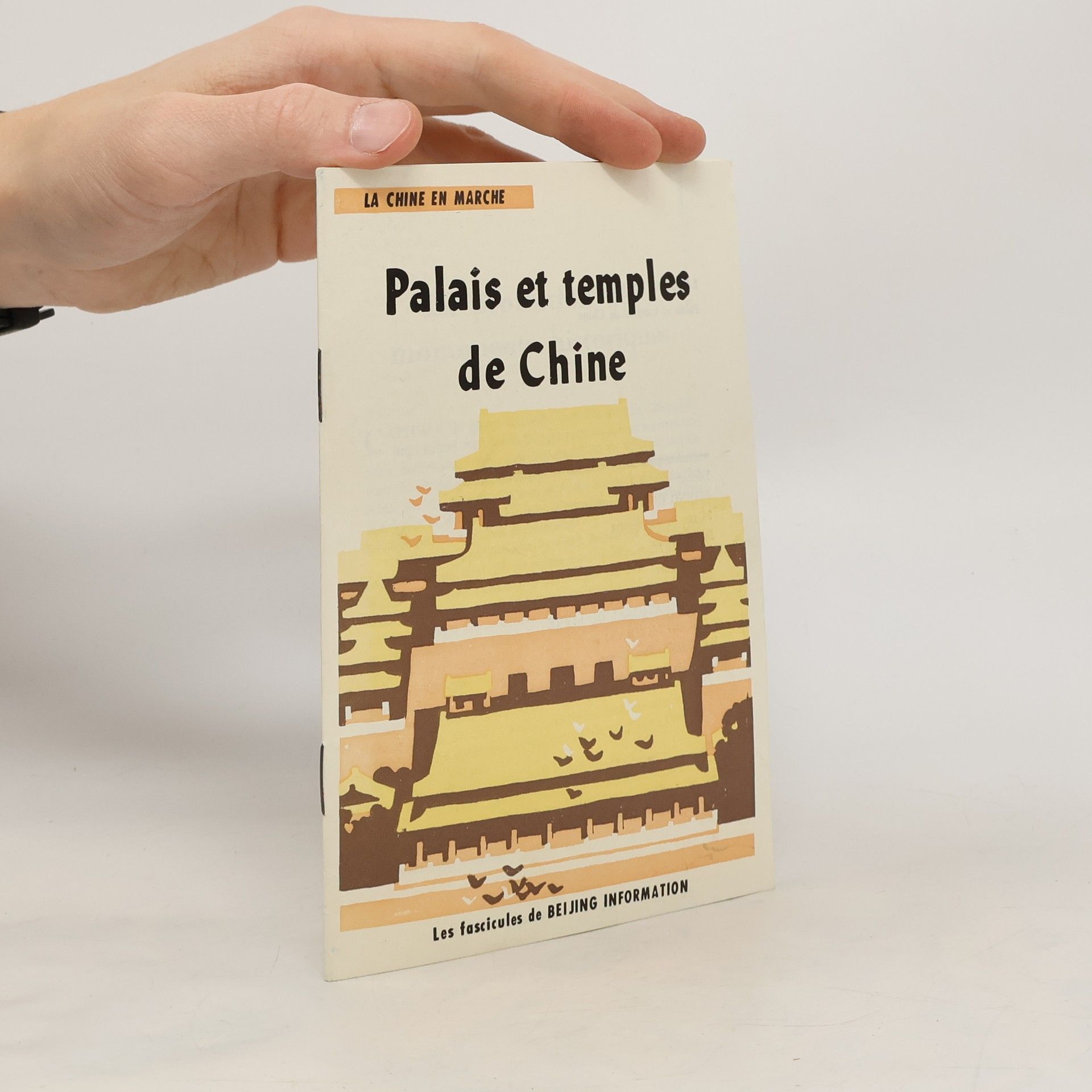 Collectif d'auteurs Palais et temples de Chine