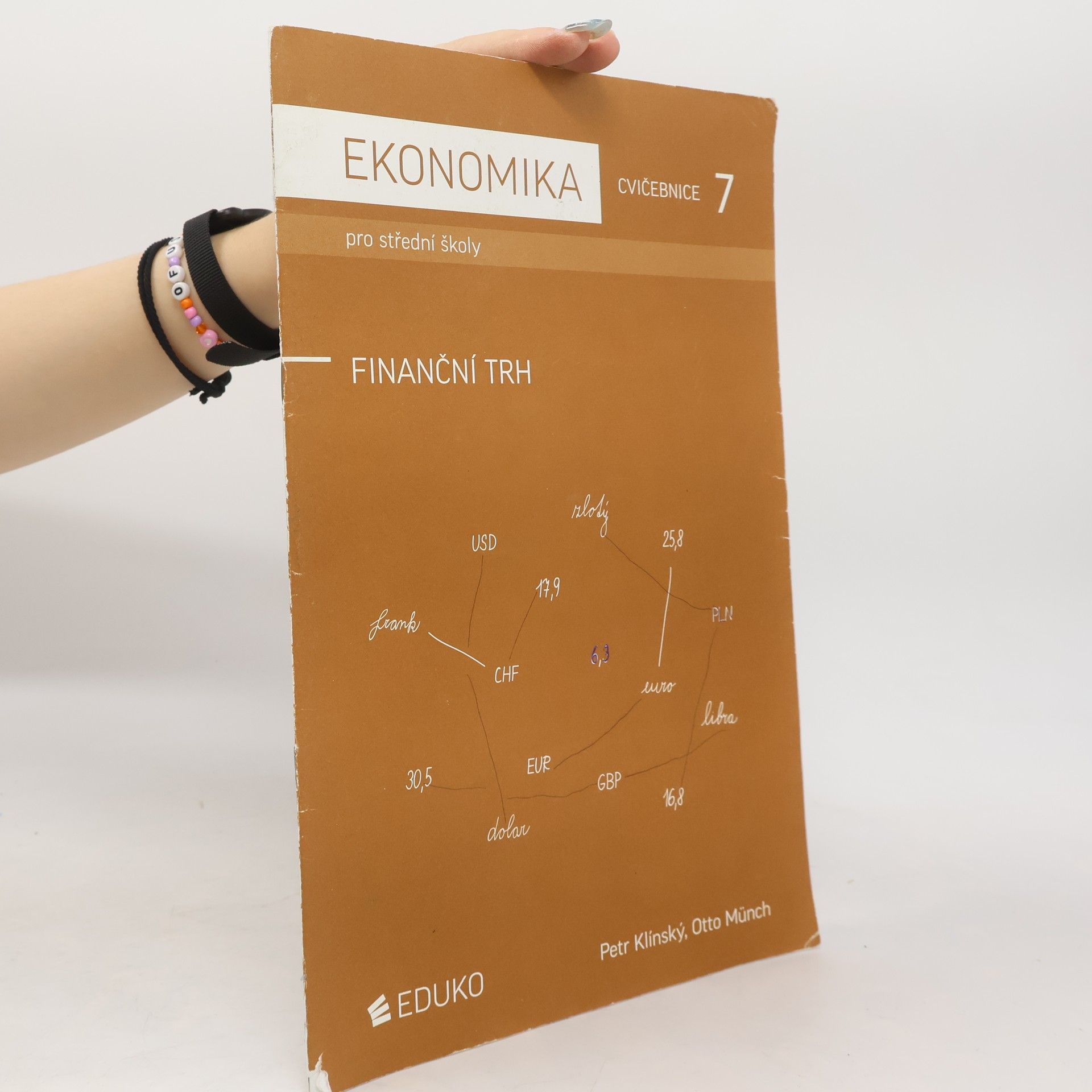 Petr Klínský Ekonomika pro střední školy : cvičebnice. 7, Finanční trh