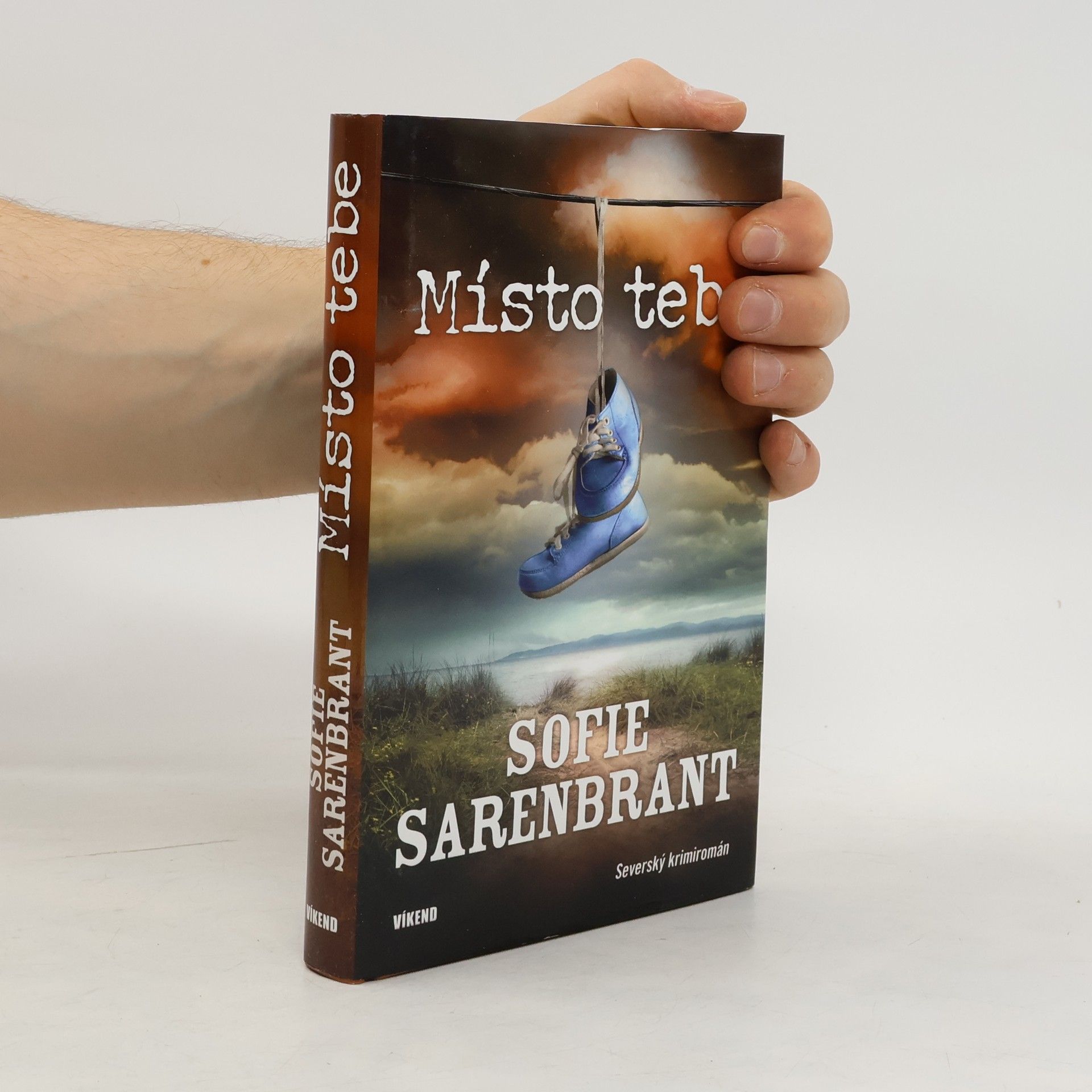 Sofie Sarenbrant Místo tebe