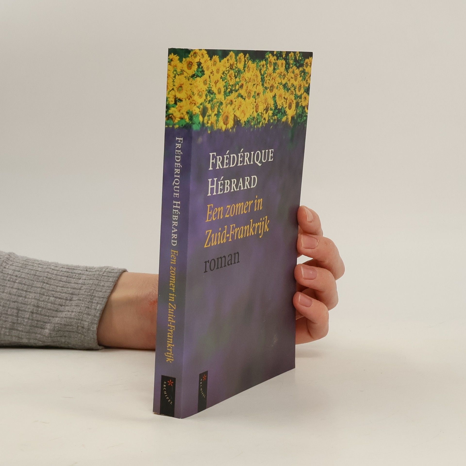 Frédérique Hébrard Een zomer in Zuid-Frankrijk