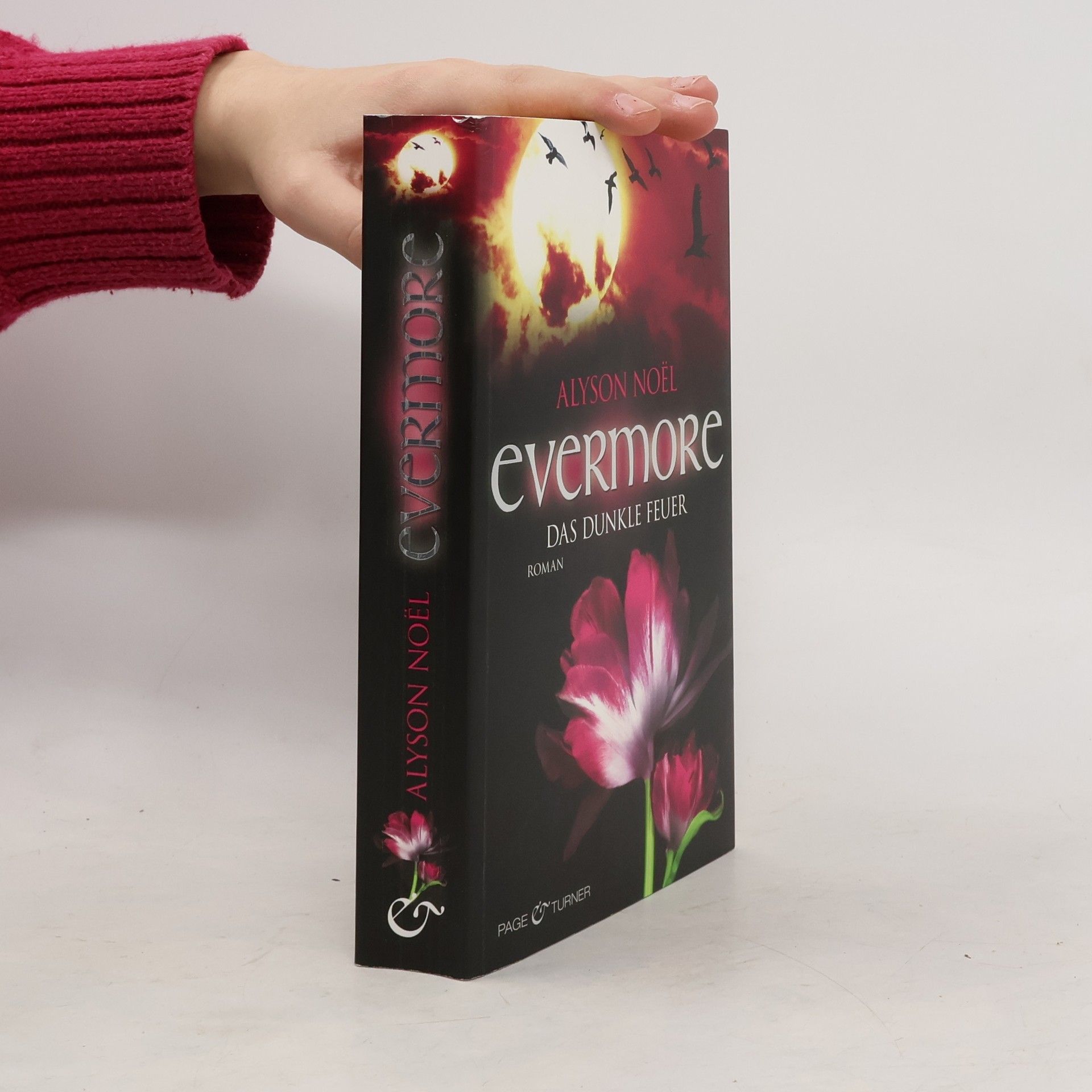 Alyson Noël Evermore: Das dunkle Feuer