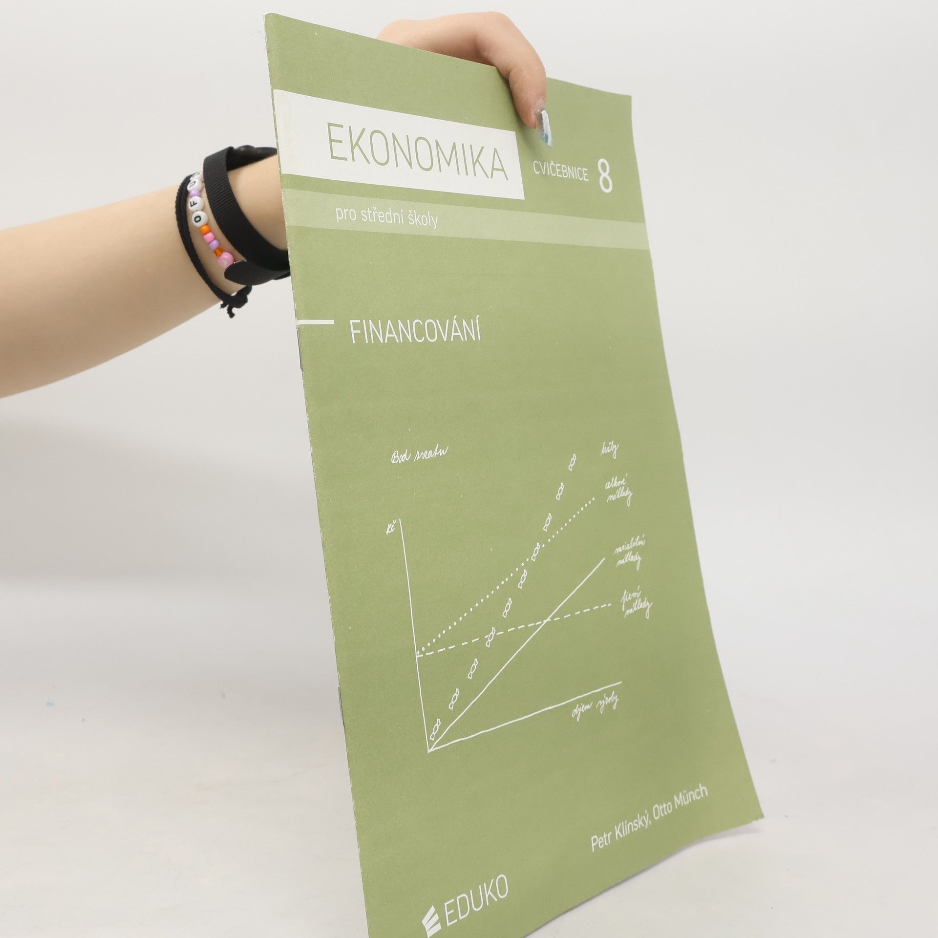 Petr Klínský Ekonomika pro střední školy : cvičebnice. 8, Financování