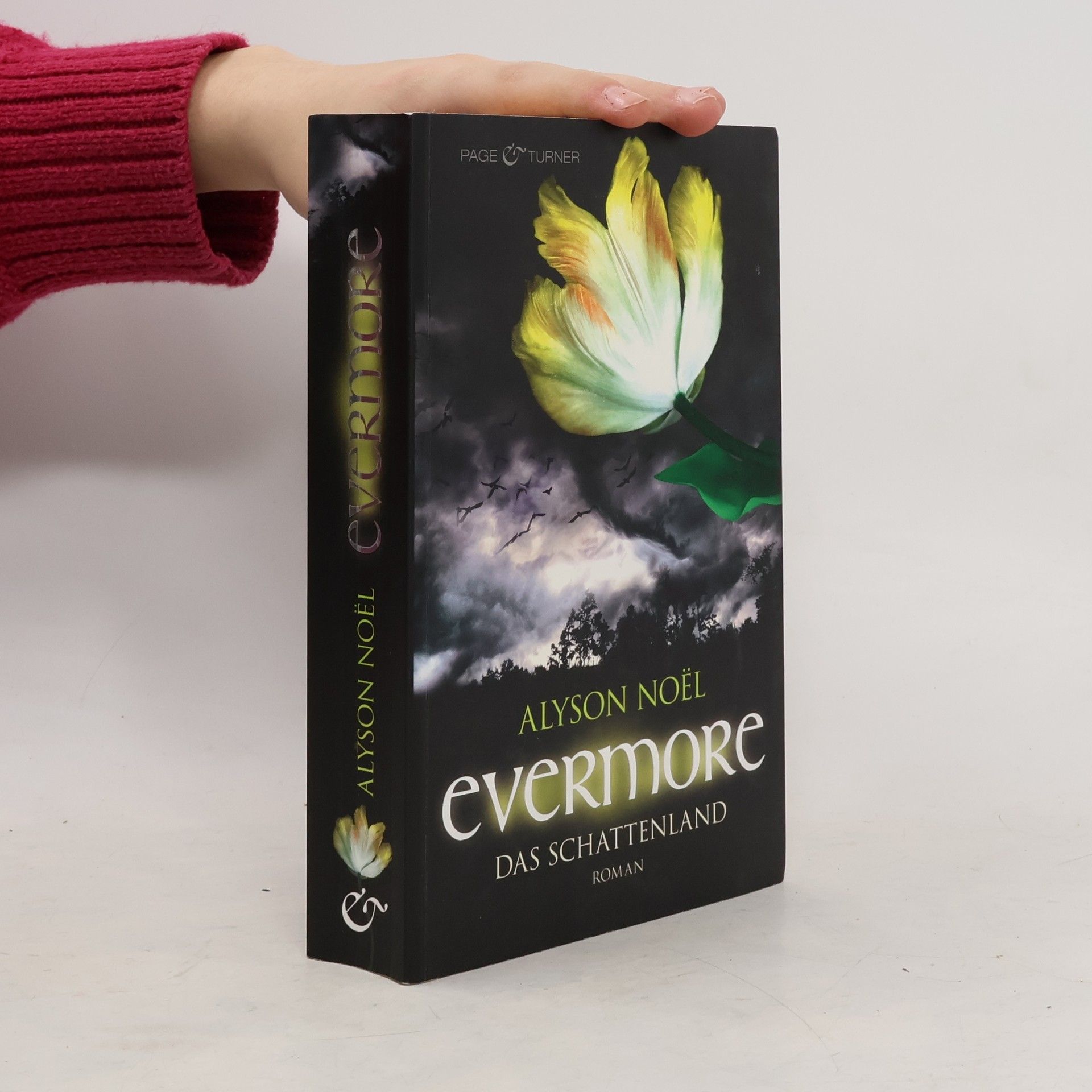 Alyson Noël Evermore: Das Schattenland