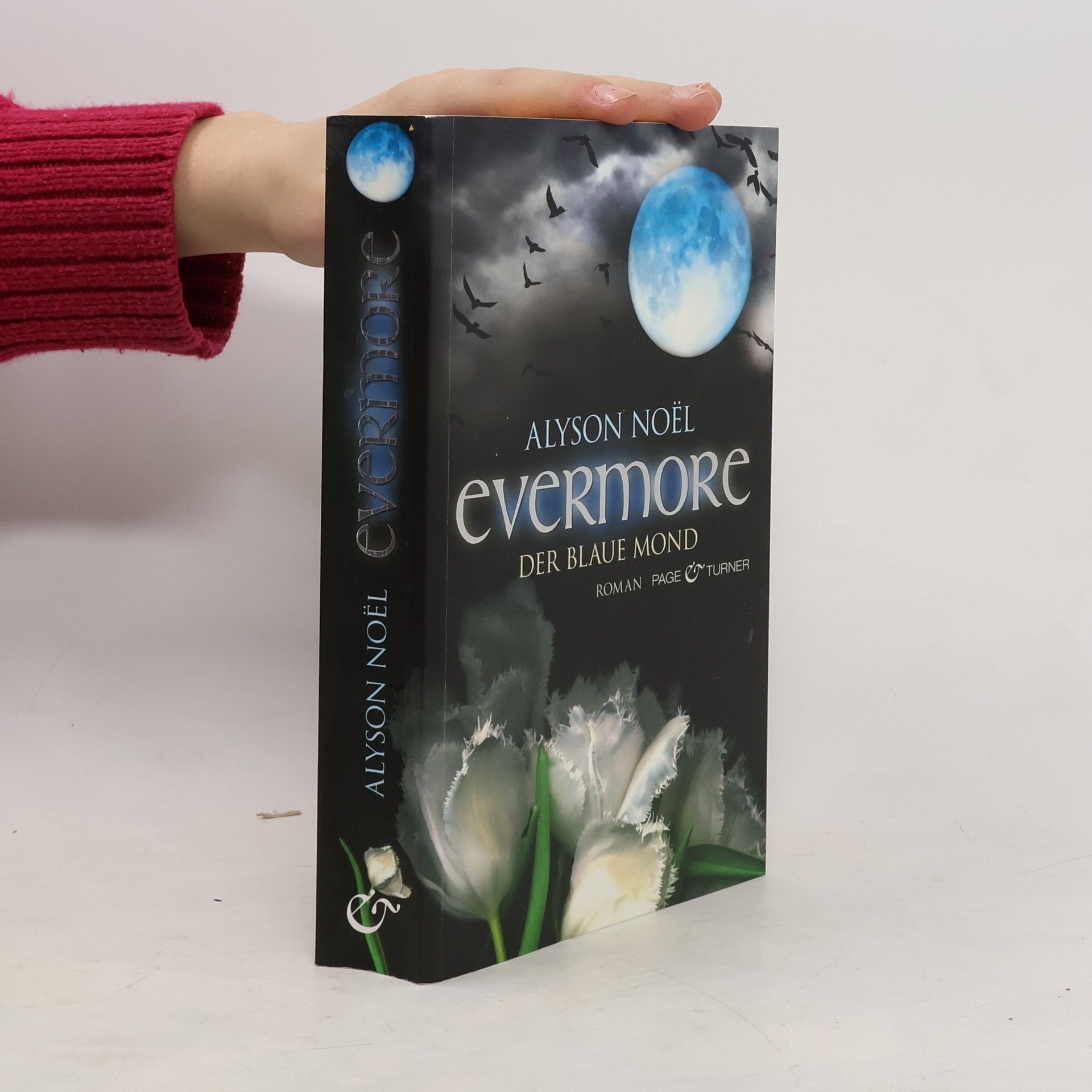 Alyson Noël Evermore: Der blaue Mond